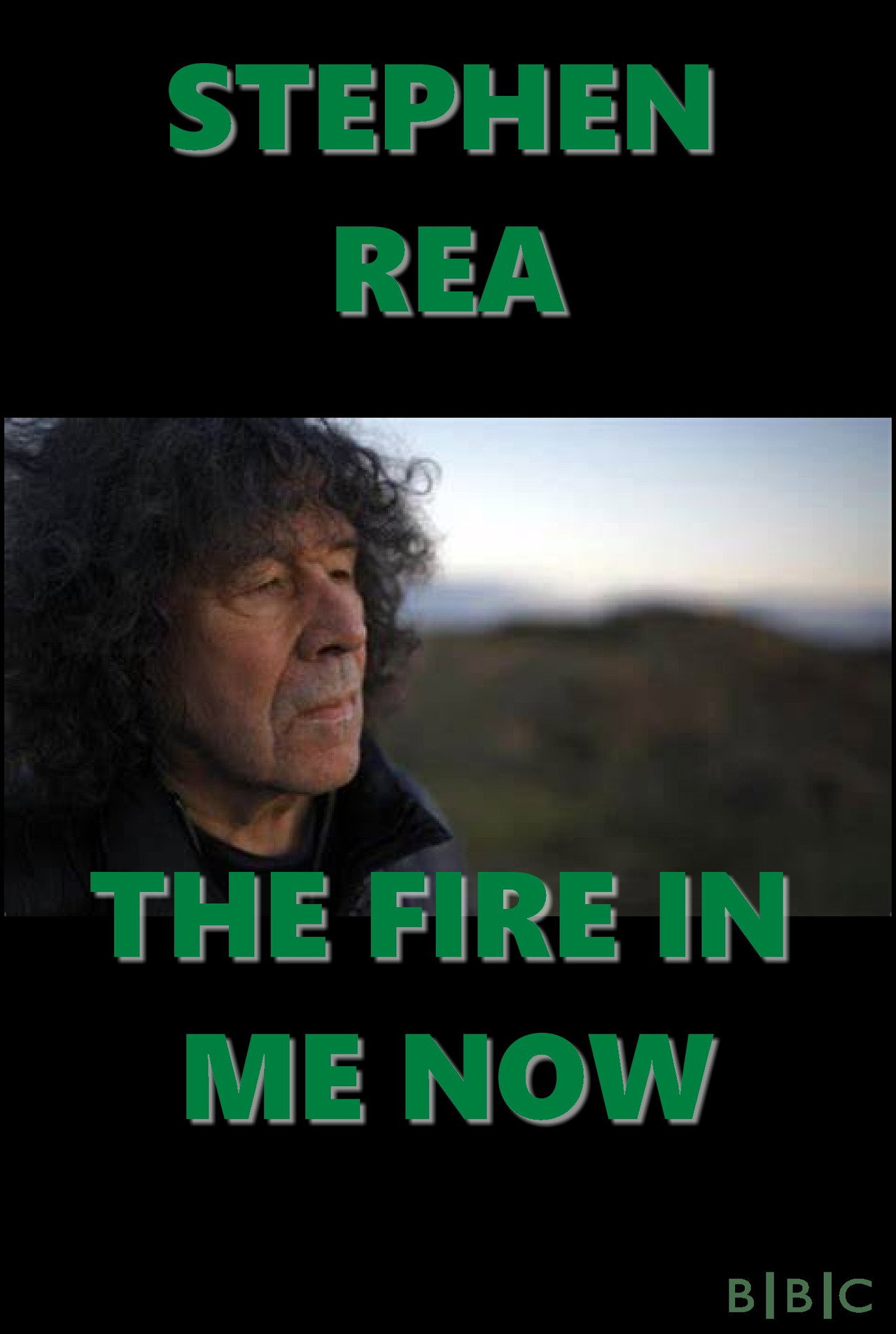 Pôster de Stephen Rea: The Fire in Me Now