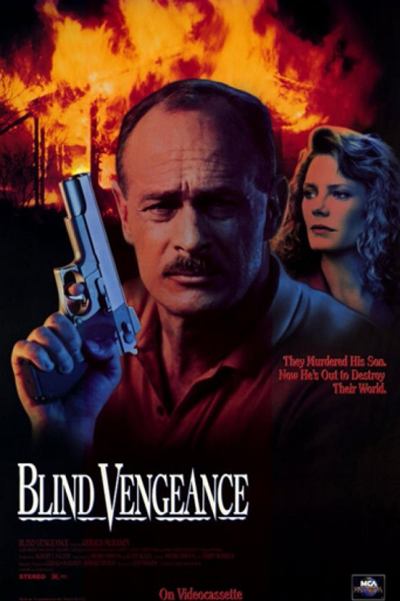 Pôster de Blind Vengeance