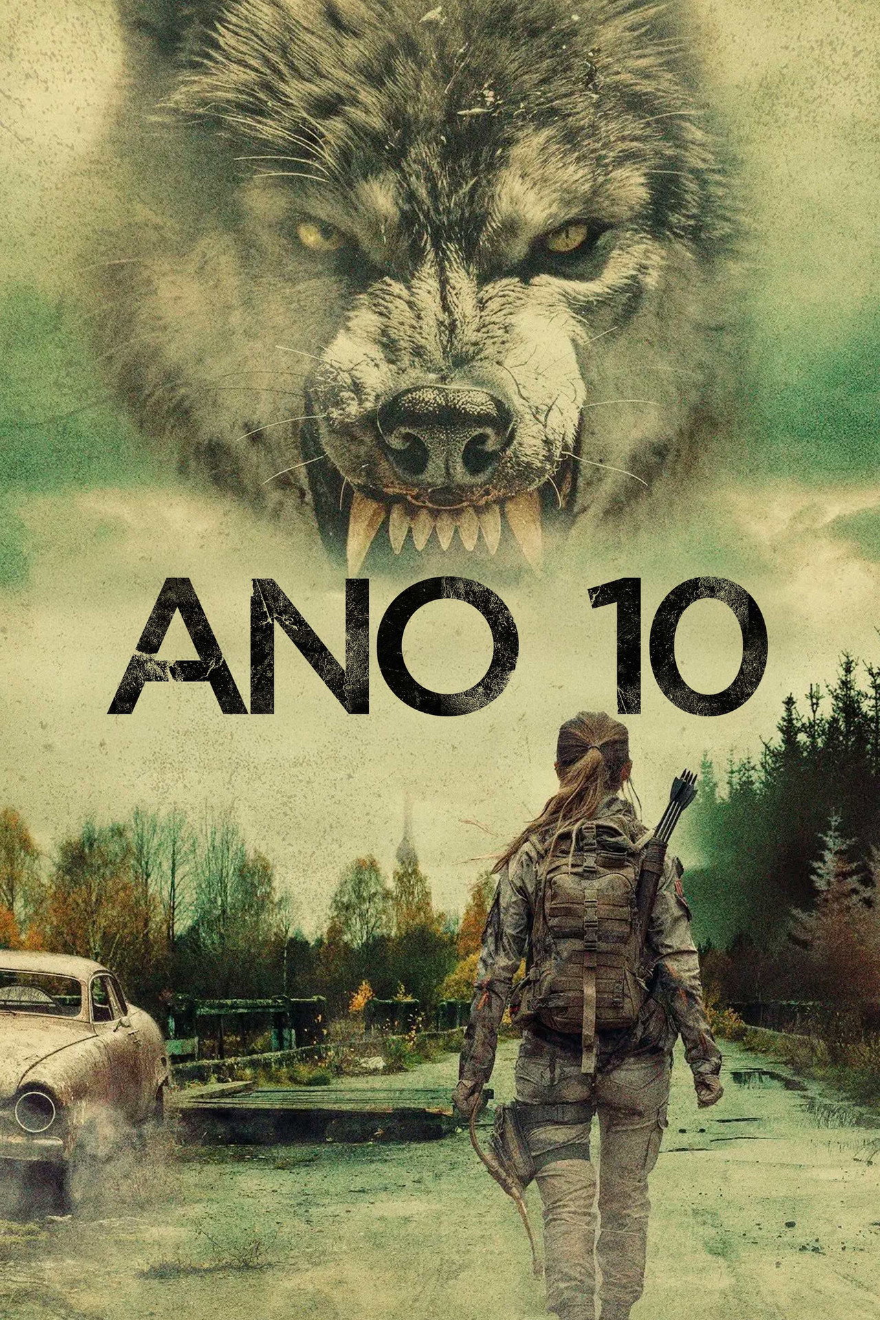 Pôster de Ano 10