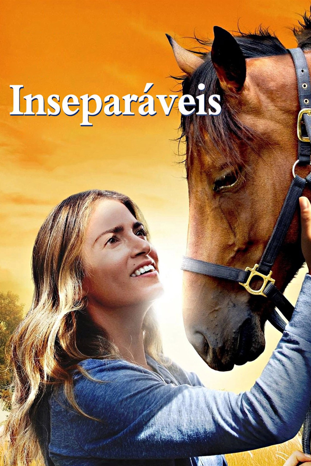 Pôster de Inseparáveis