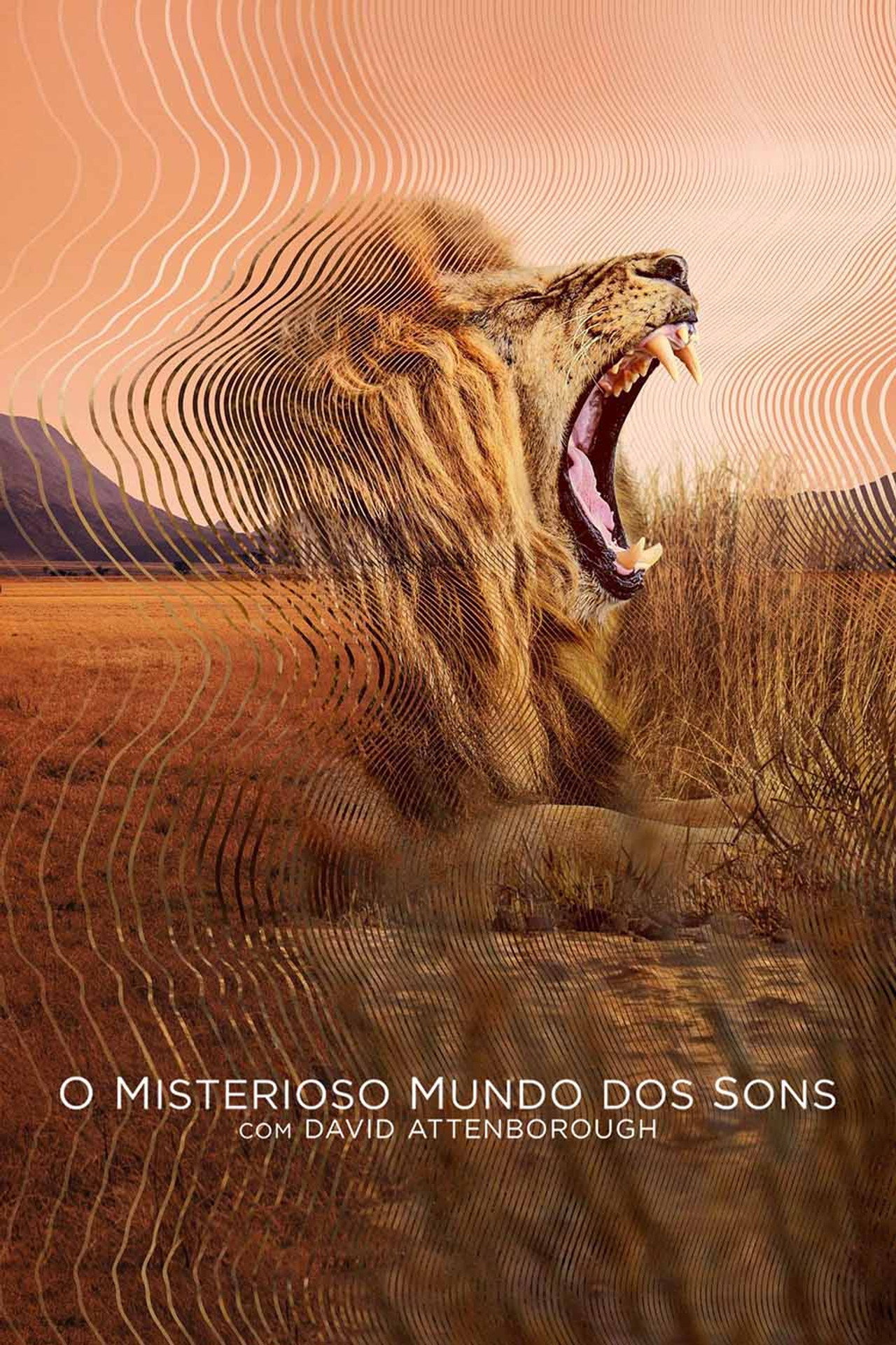 Pôster de O Misterioso Mundo dos Sons