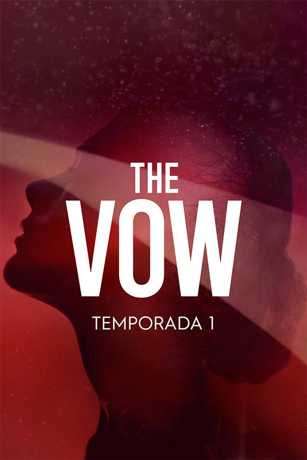 Pôster de The Vow