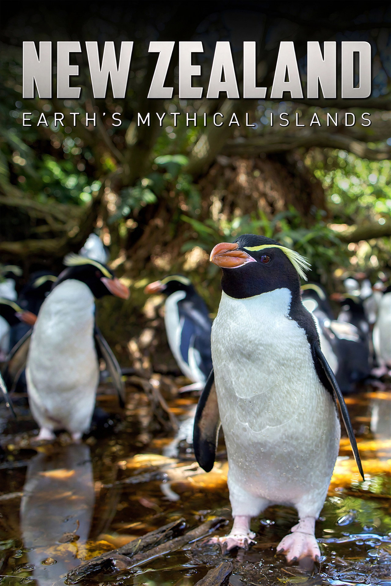 Pôster de New Zealand: Earth's Mythical Islands