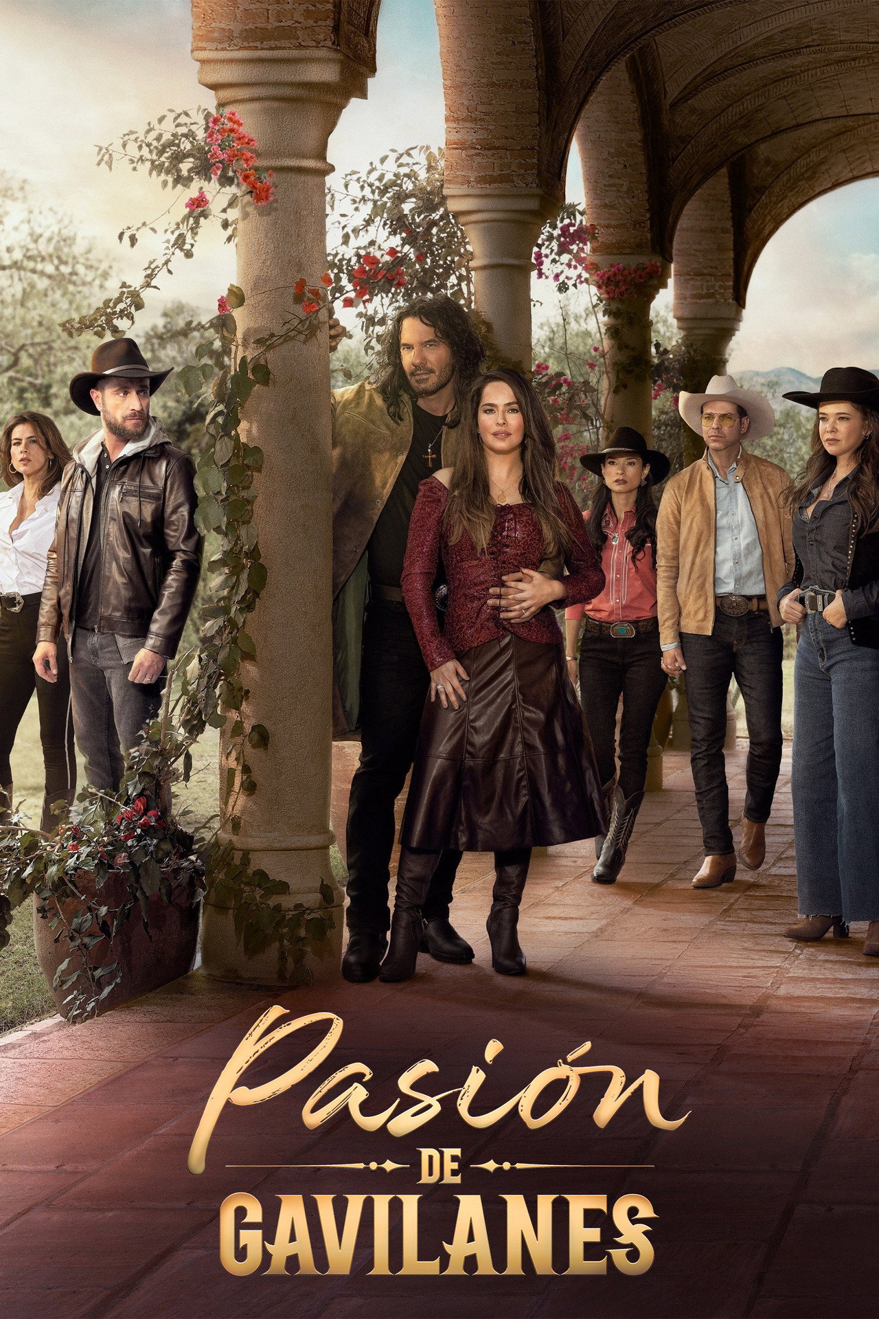 Pôster de Pasión de Gavilanes