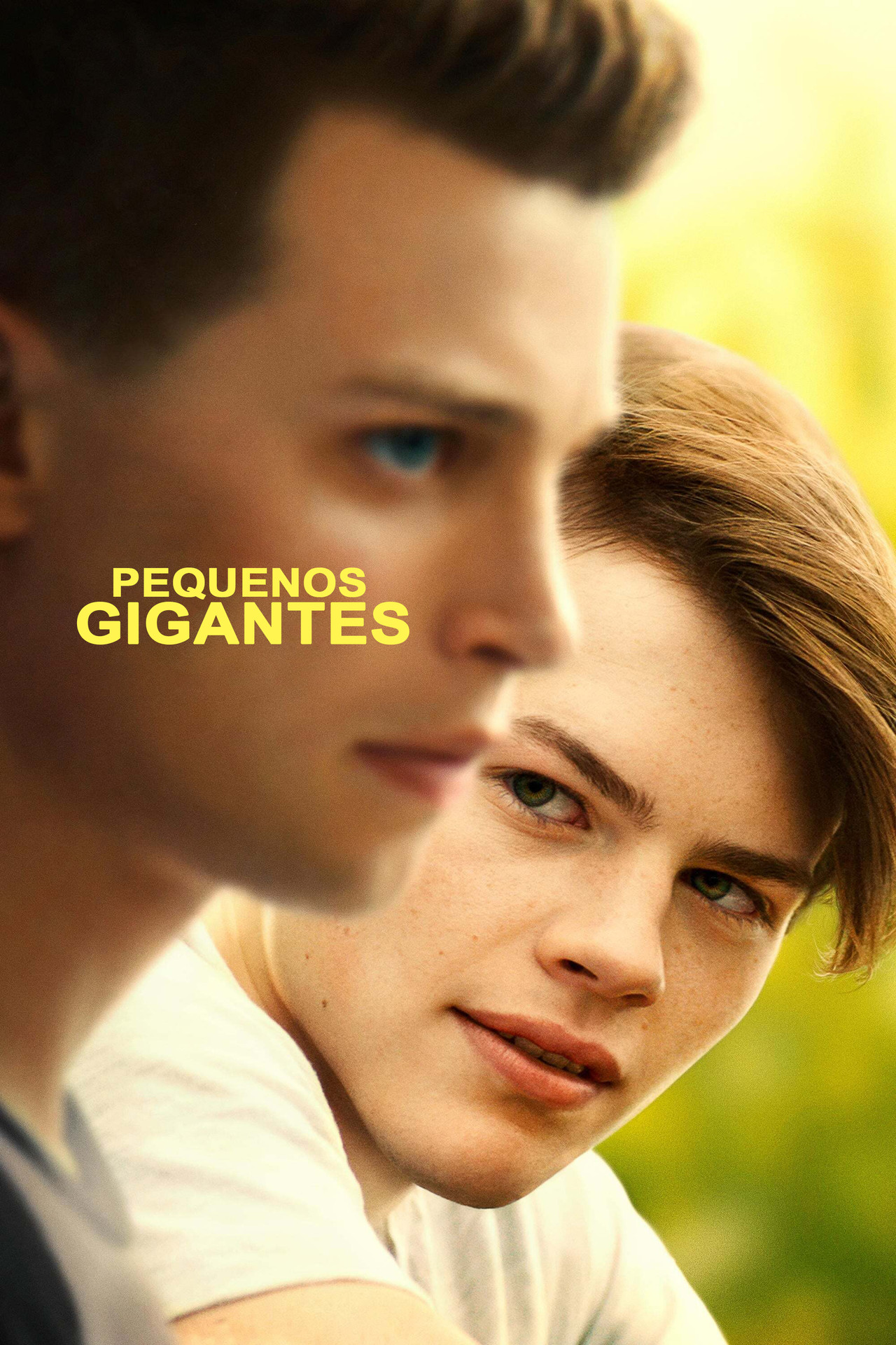 Pôster de Pequenos Gigantes