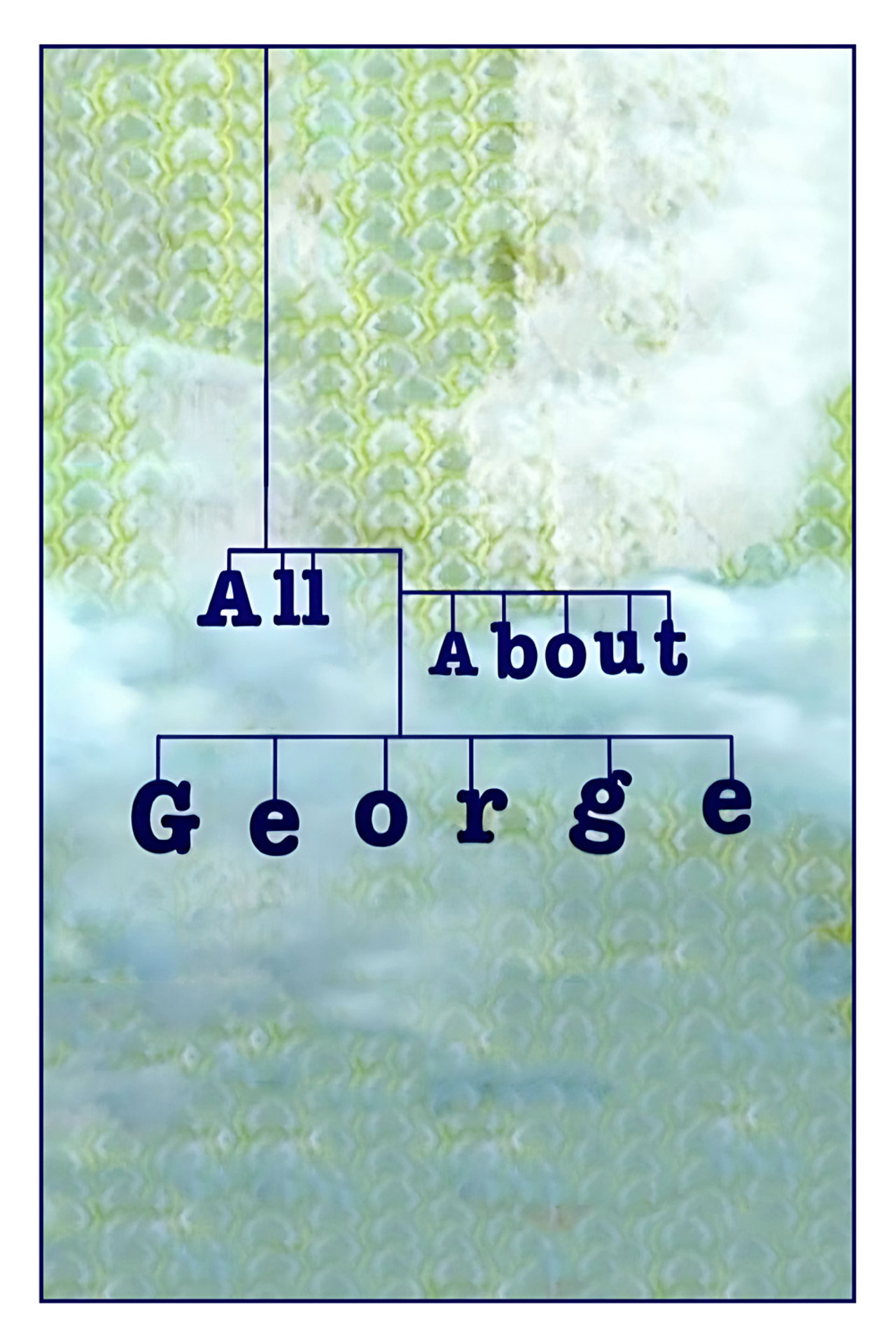 Pôster de All About George