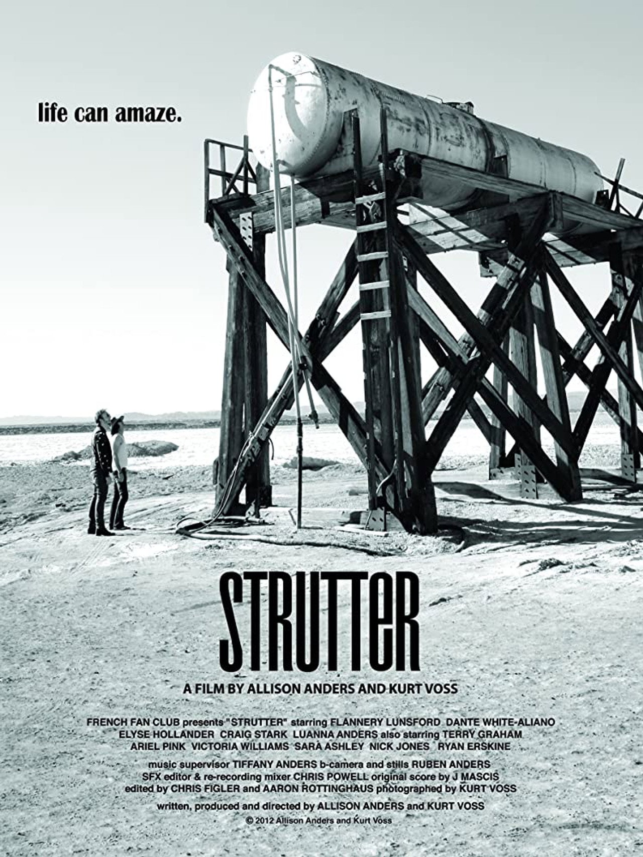Pôster de Strutter