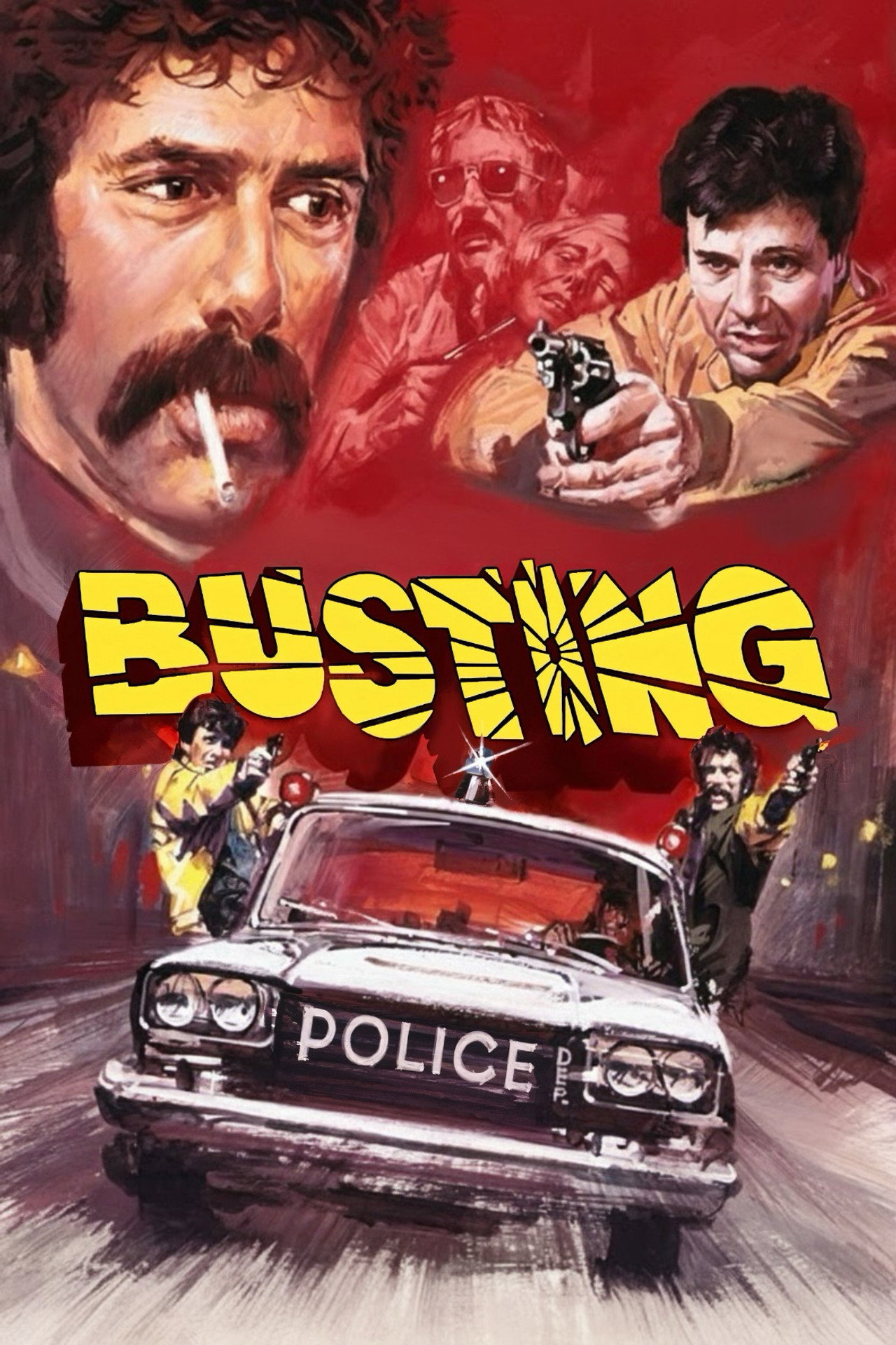 Pôster de Busting