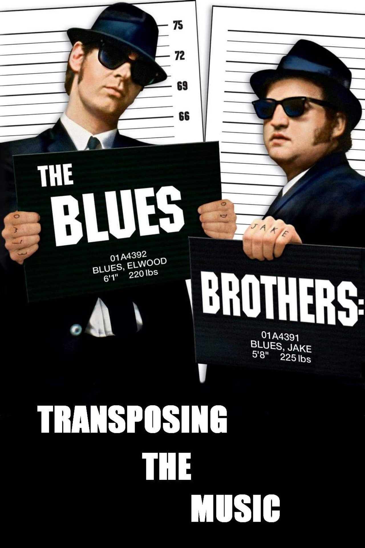 Pôster de The Blues Brothers: Transposing The Music