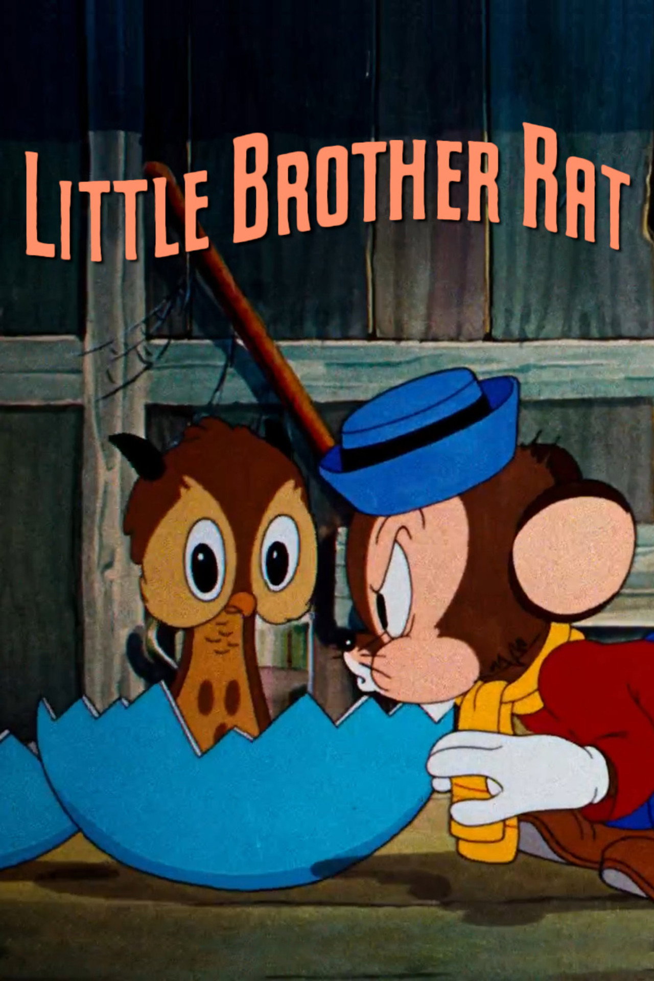 Pôster de Little Brother Rat