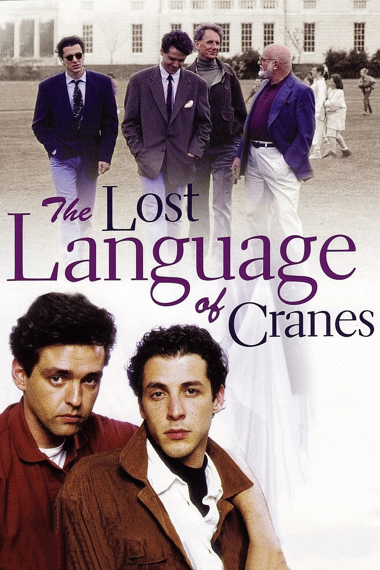 Pôster de The Lost Language of Cranes