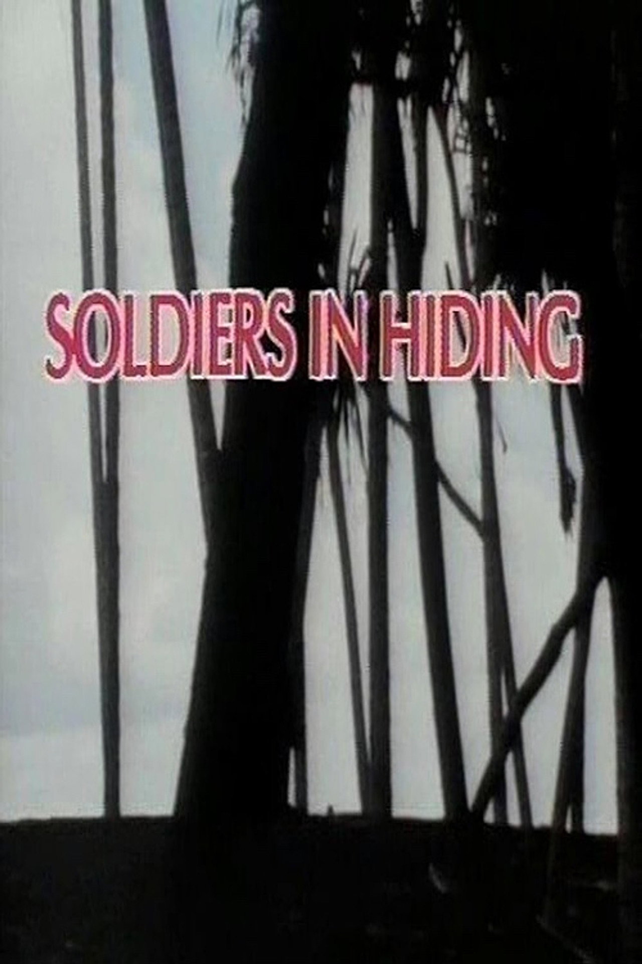 Pôster de Soldiers in Hiding