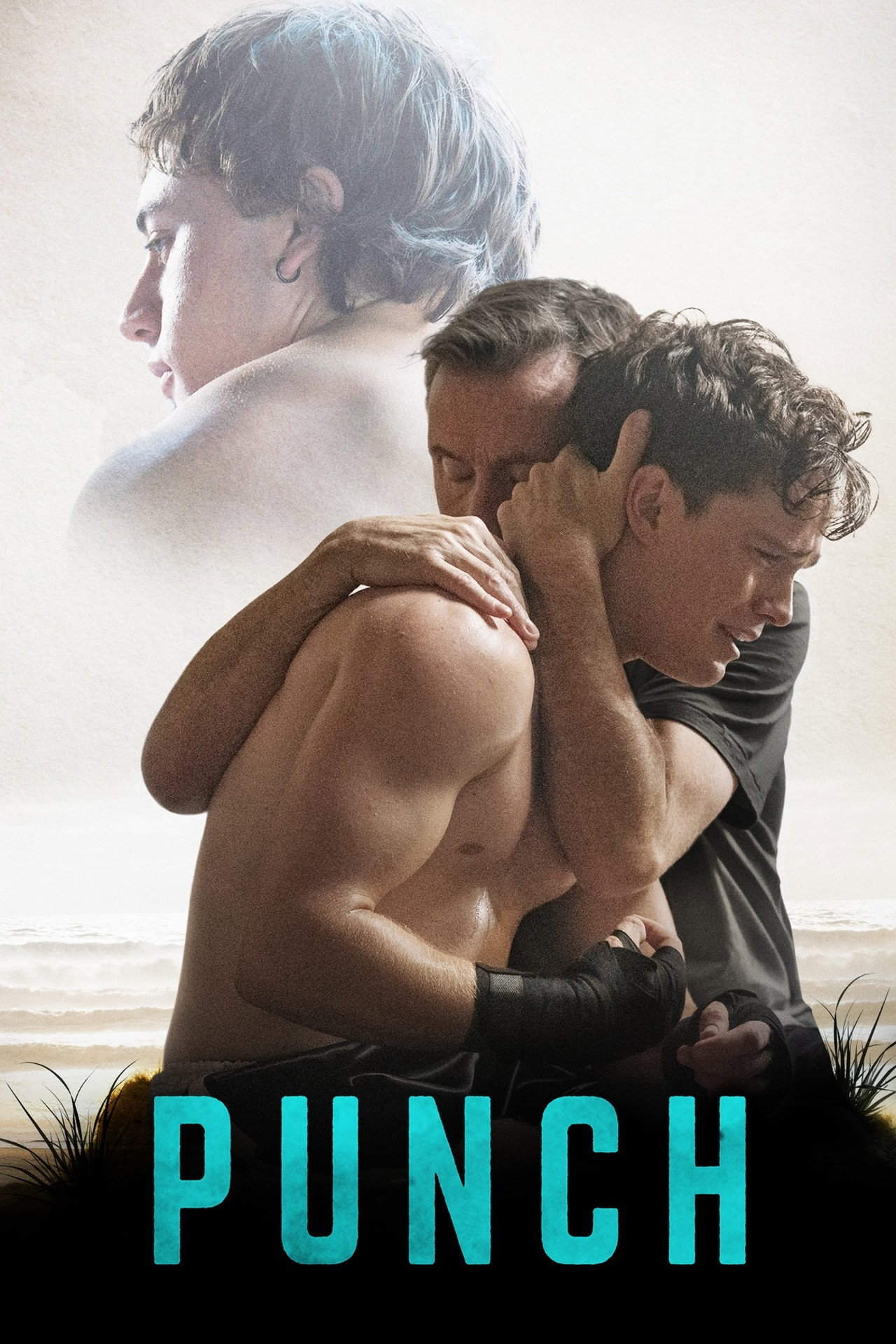 Pôster de Punch