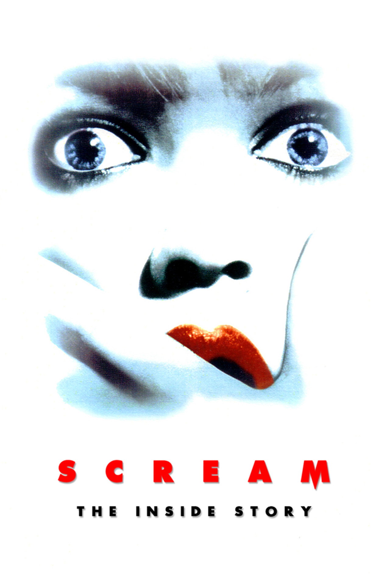 Pôster de Scream: The Inside Story