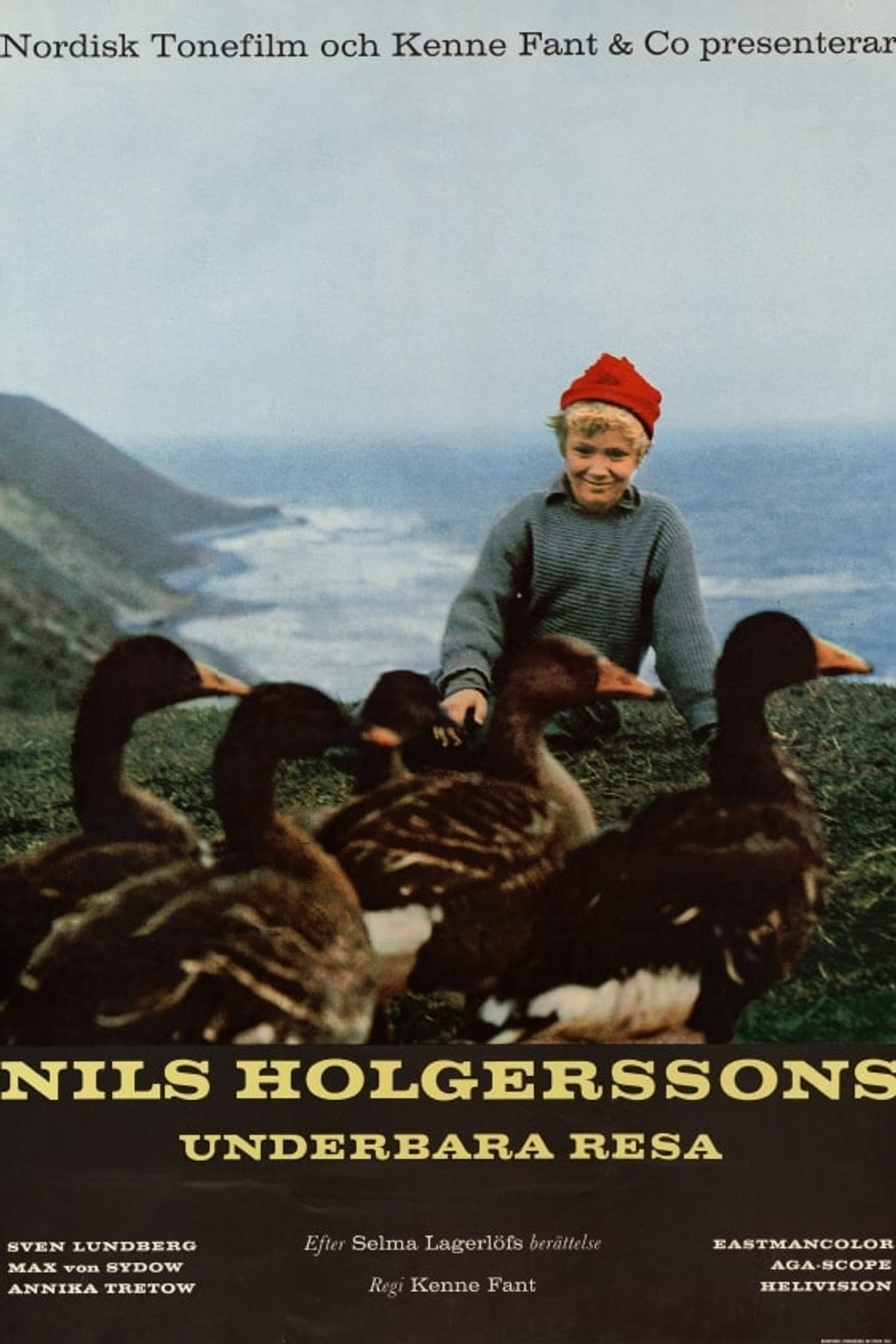 Pôster de Nils Holgerssons underbara resa