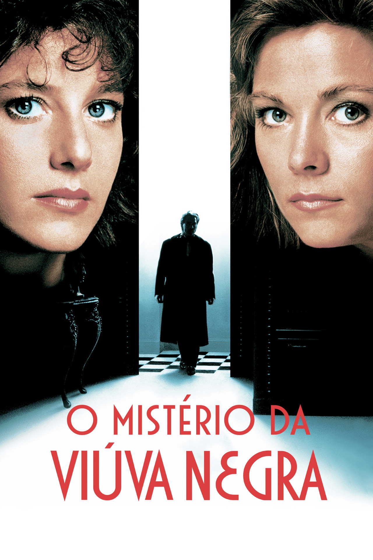 Pôster de O Mistério da Viúva Negra
