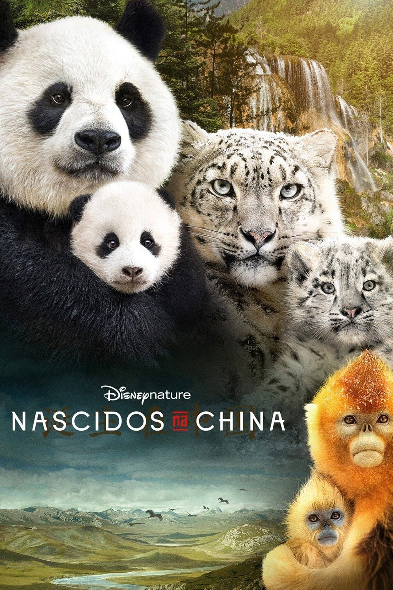Pôster de Nascidos na China