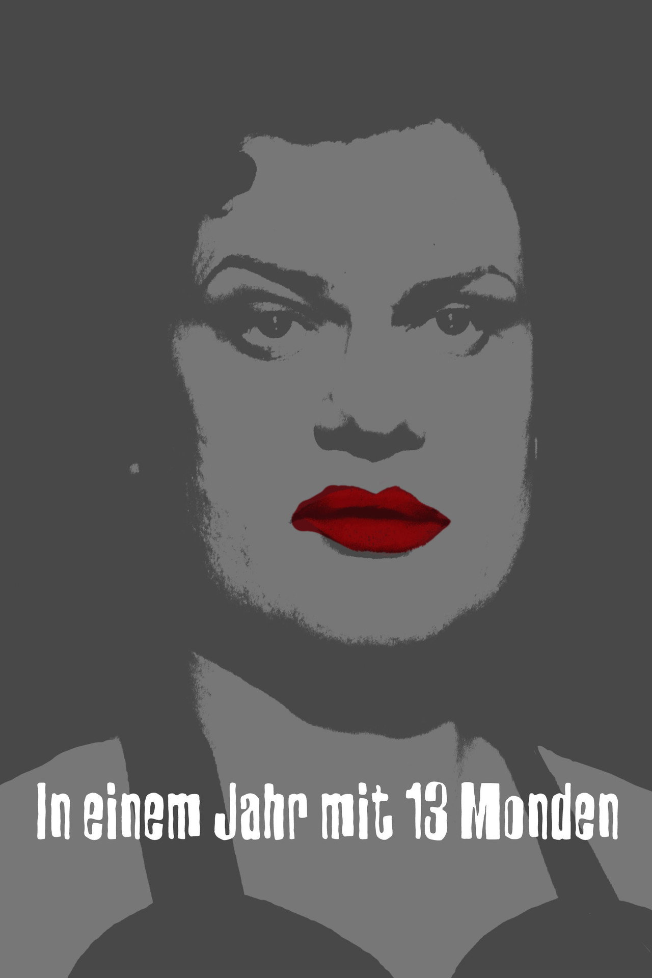 Pôster de Num Ano de 13 Luas