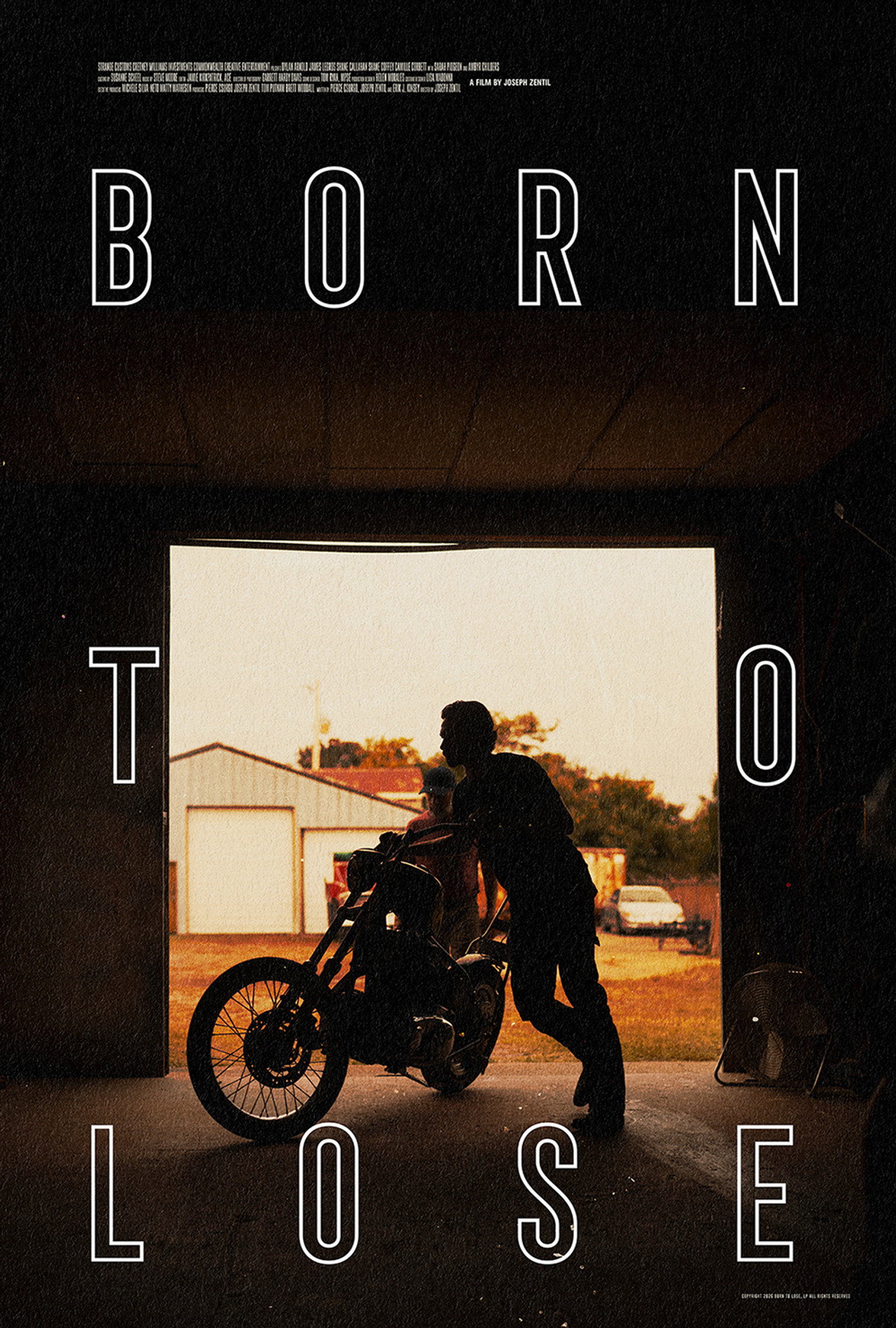 Pôster de Born to Lose