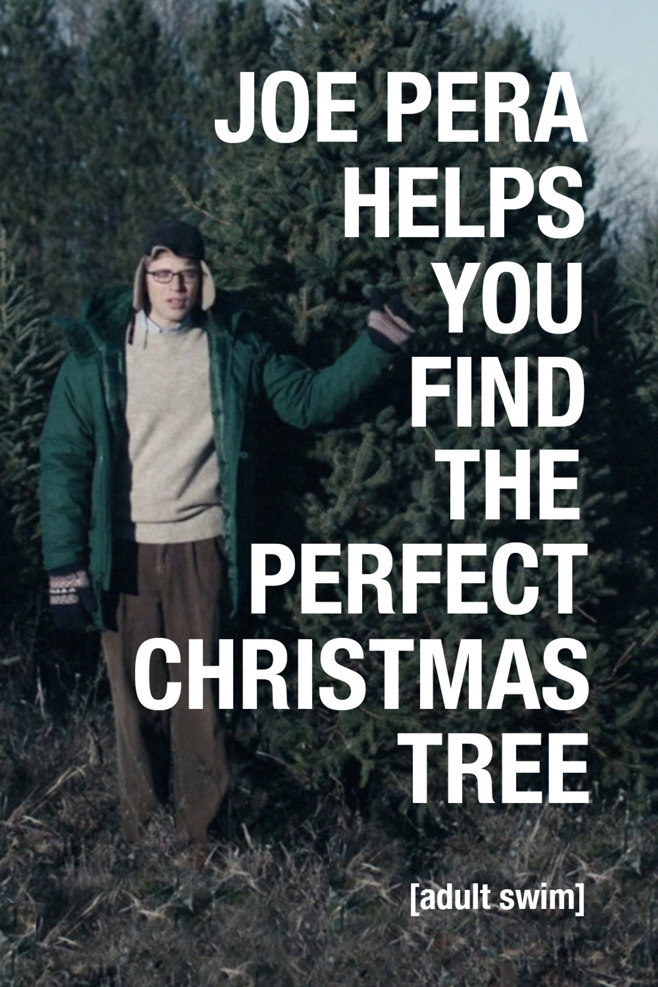 Pôster de Joe Pera Helps You Find the Perfect Christmas Tree
