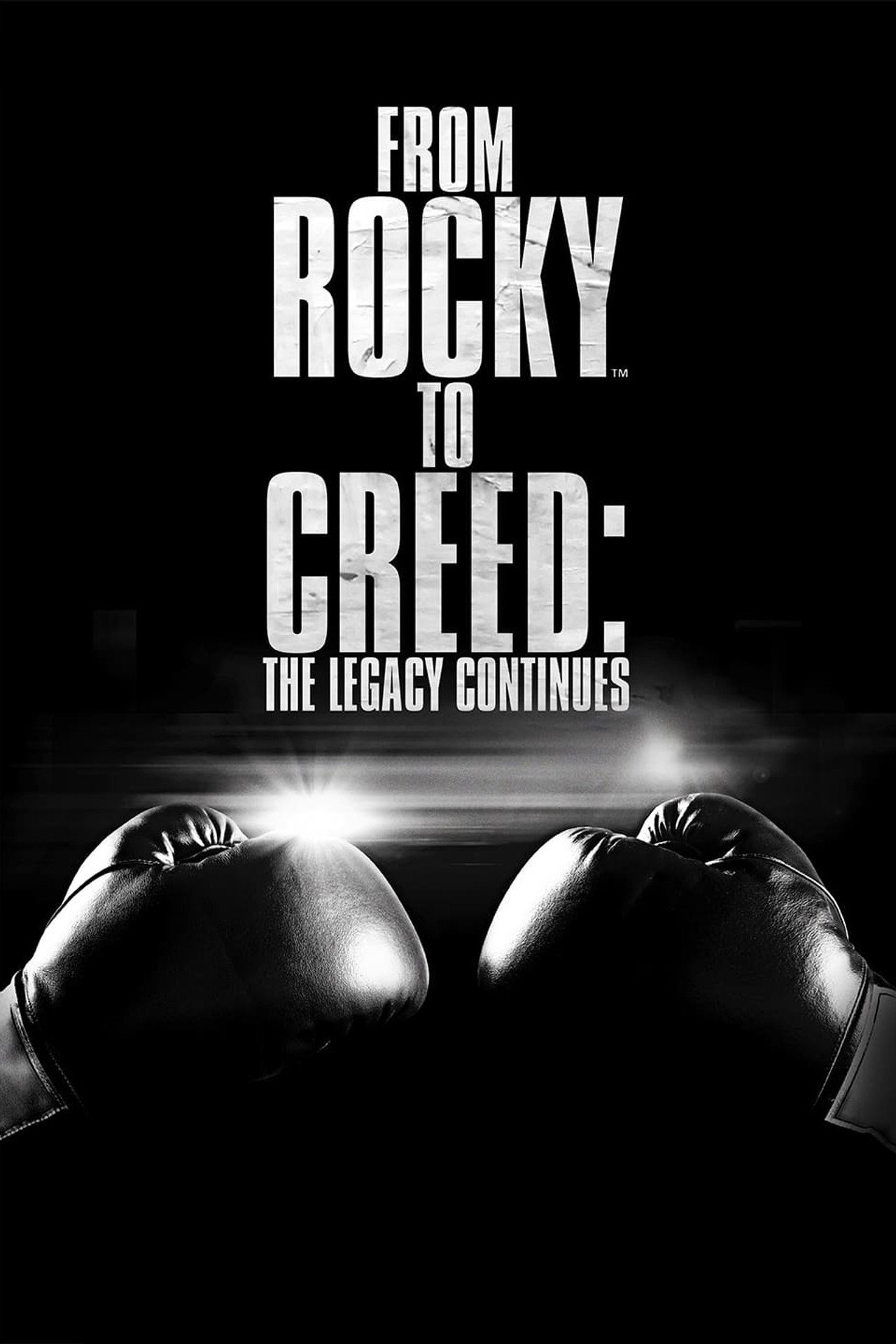 Pôster de From Rocky to Creed: The Legacy Continues