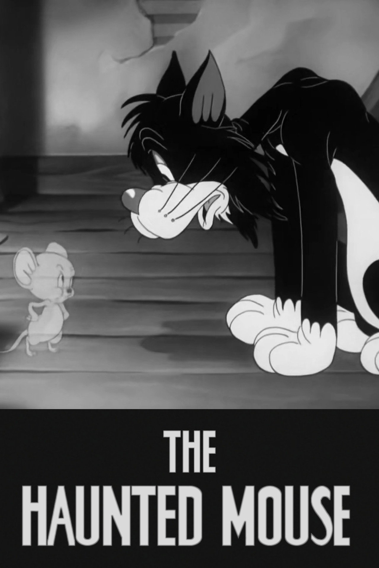 Pôster de The Haunted Mouse