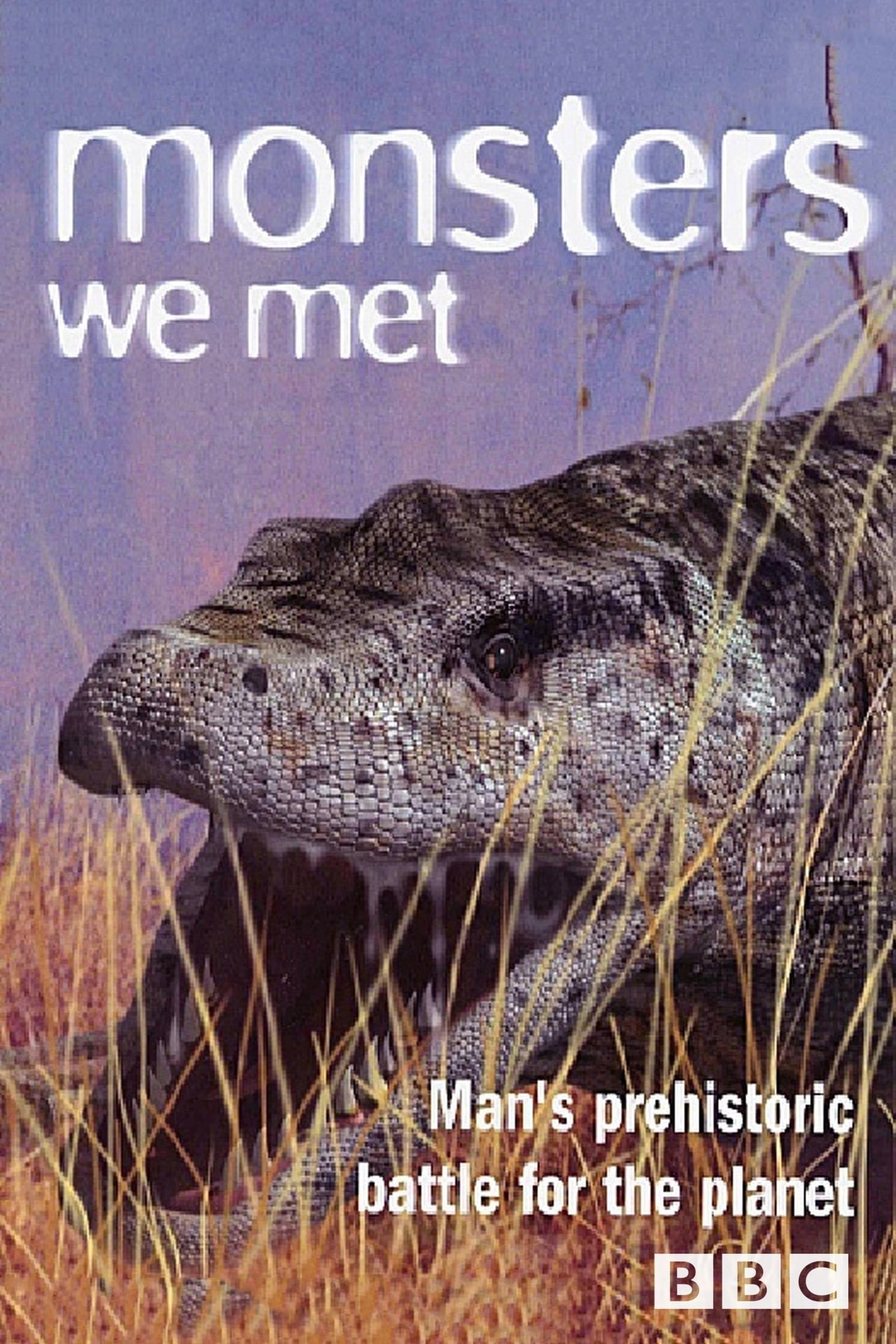 Pôster de Monsters We Met