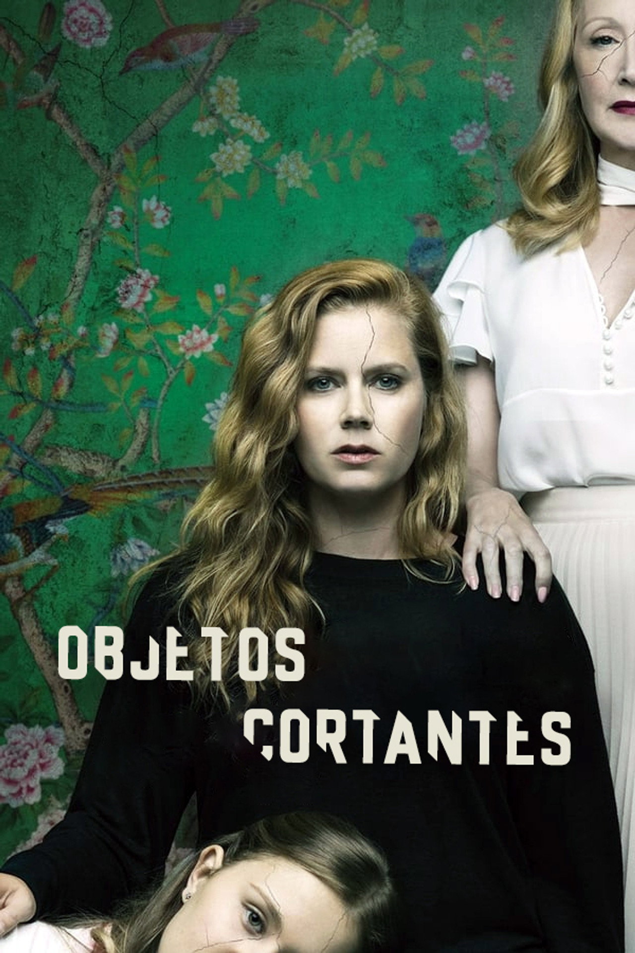 Pôster de Objetos Cortantes