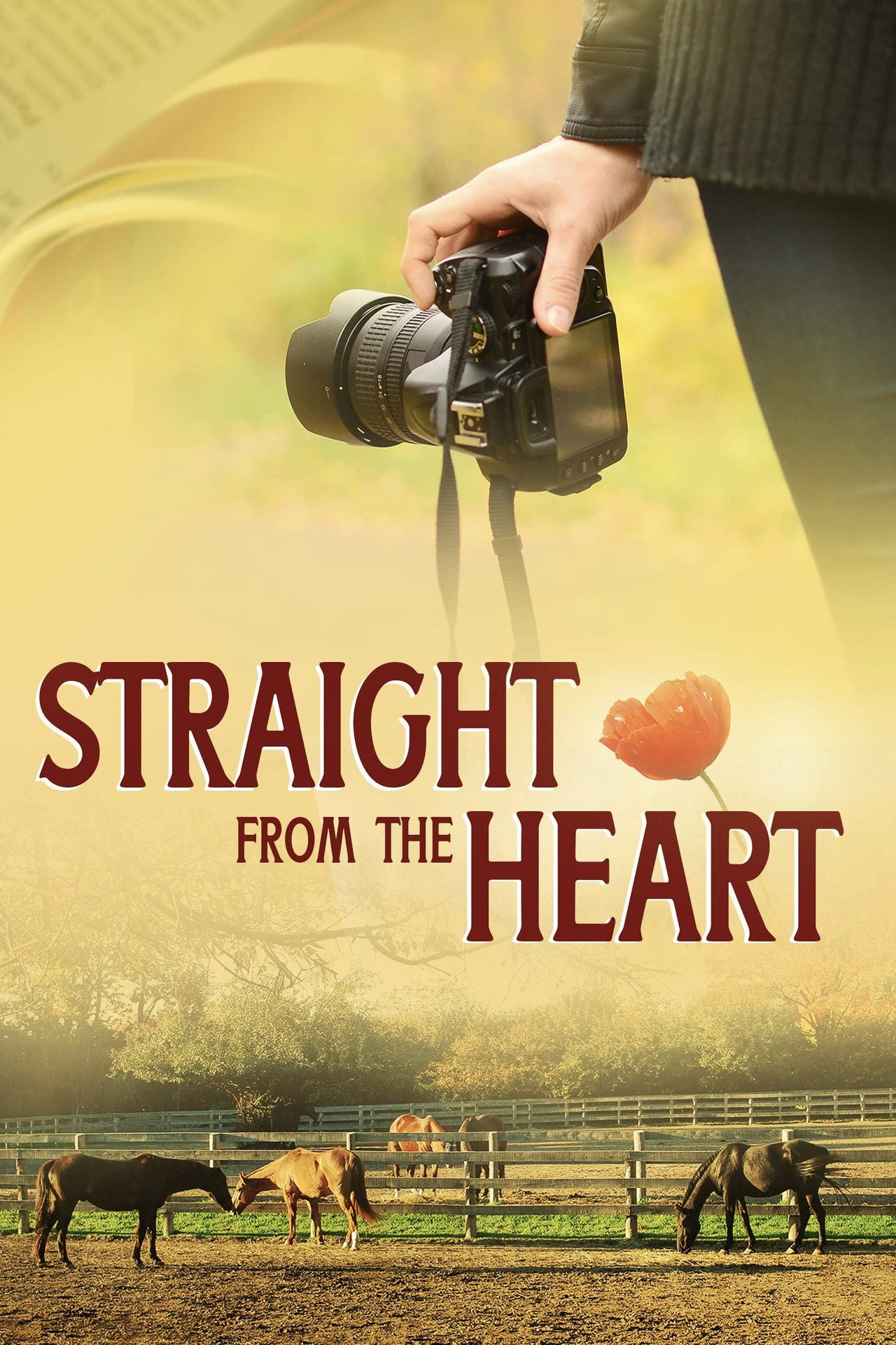 Pôster de Straight from the Heart