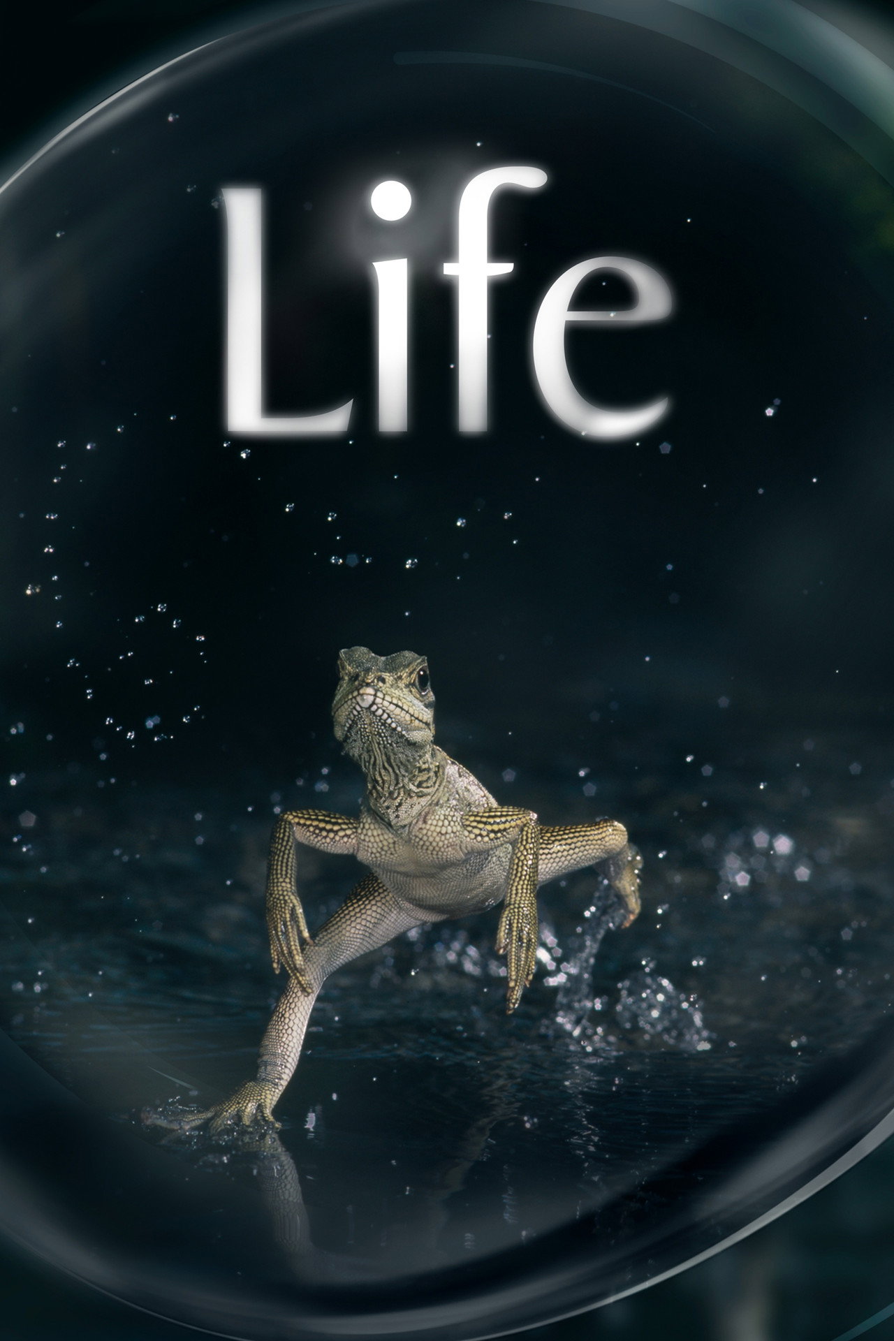 Pôster de Life