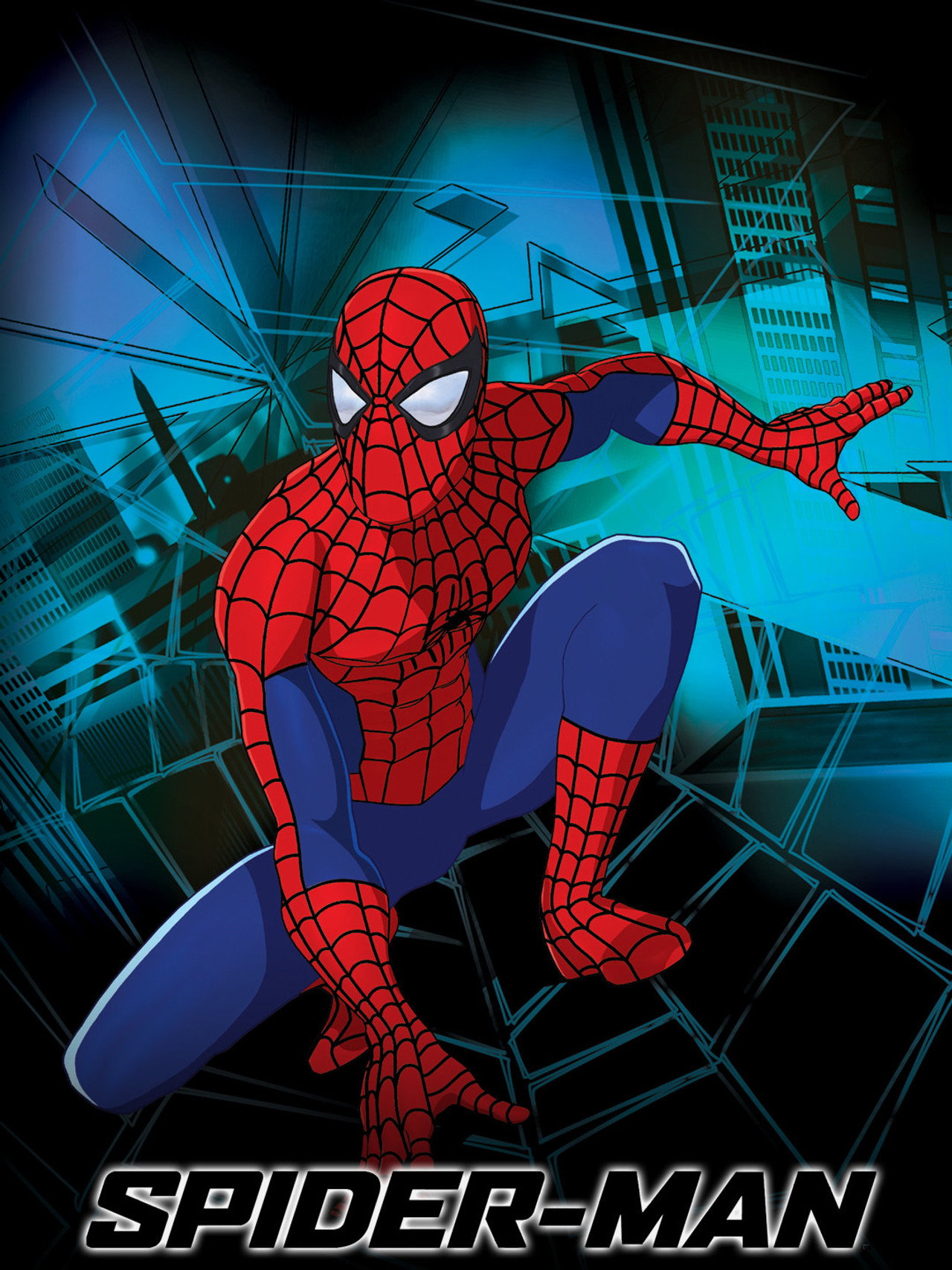 Pôster de Spider-Man: The New Animated Series