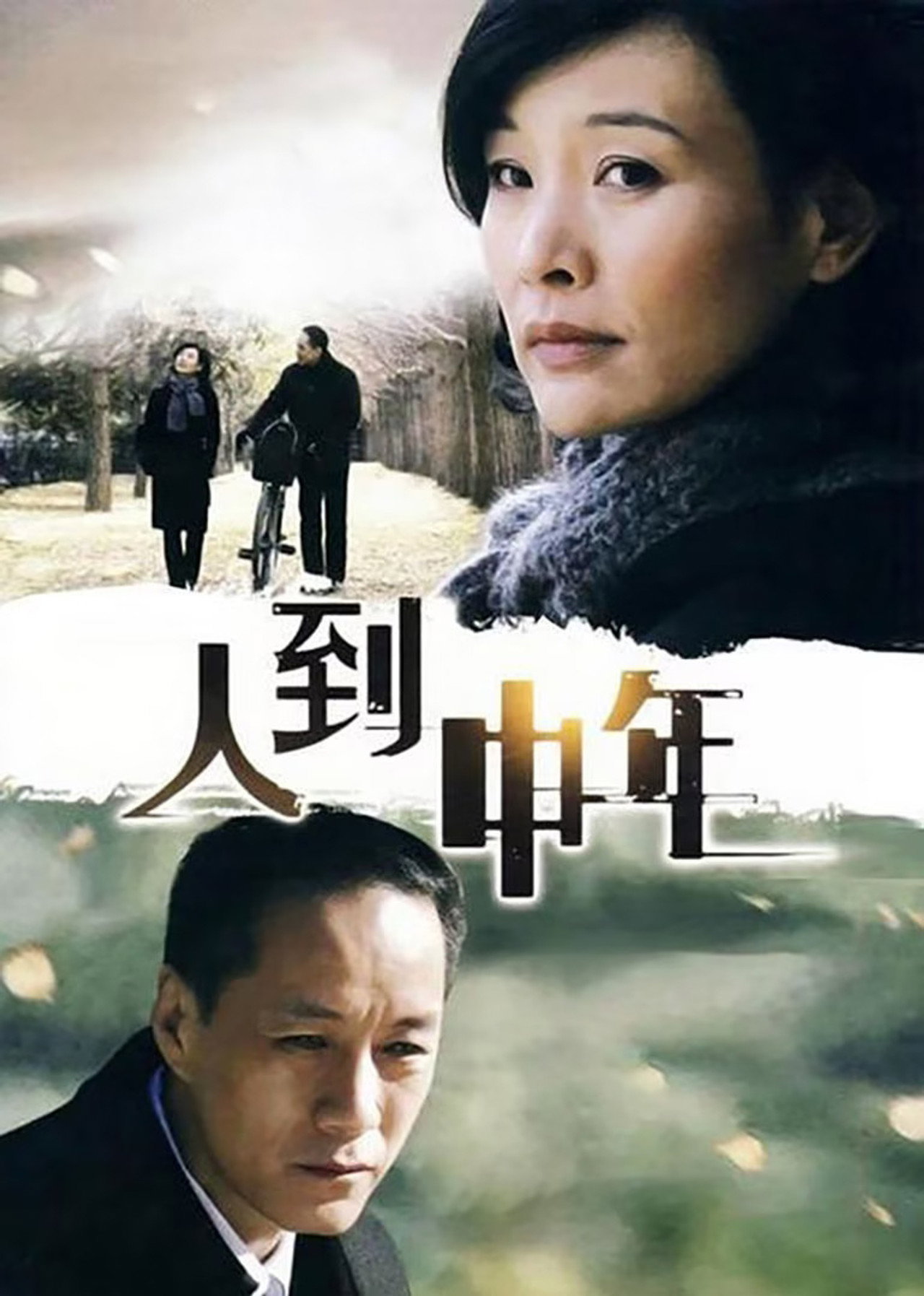 Pôster de 人到中年
