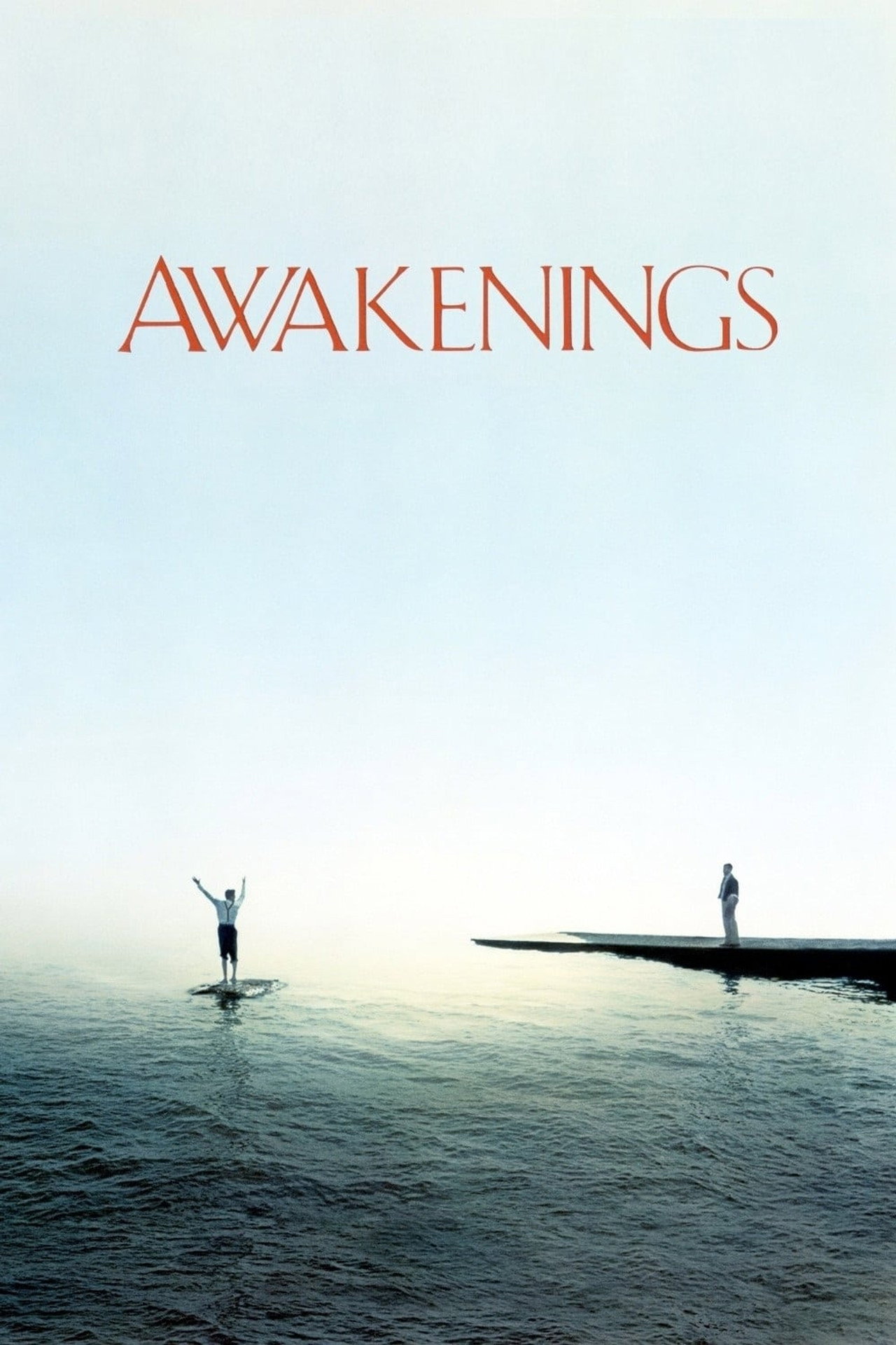 Pôster de Awakenings