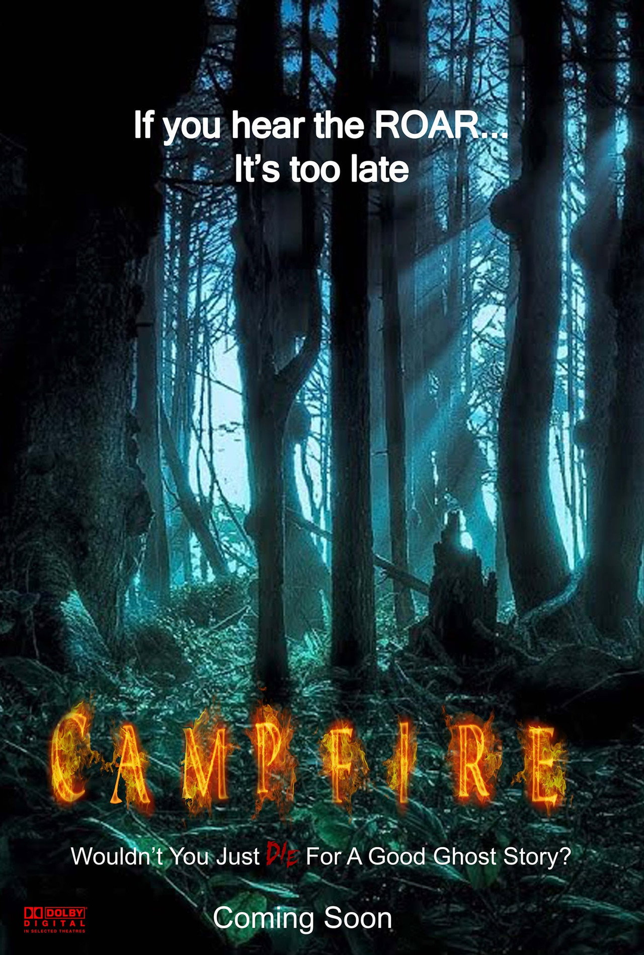 Pôster de Campfire