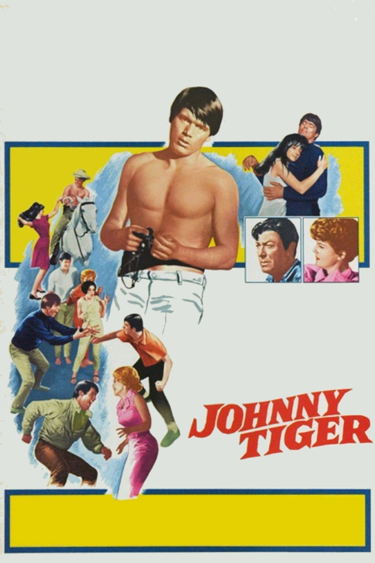 Pôster de Johnny Tiger