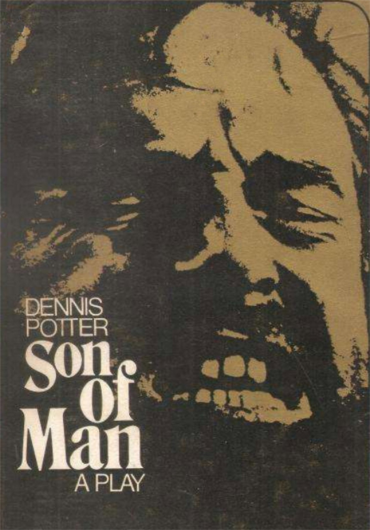 Pôster de Son of Man
