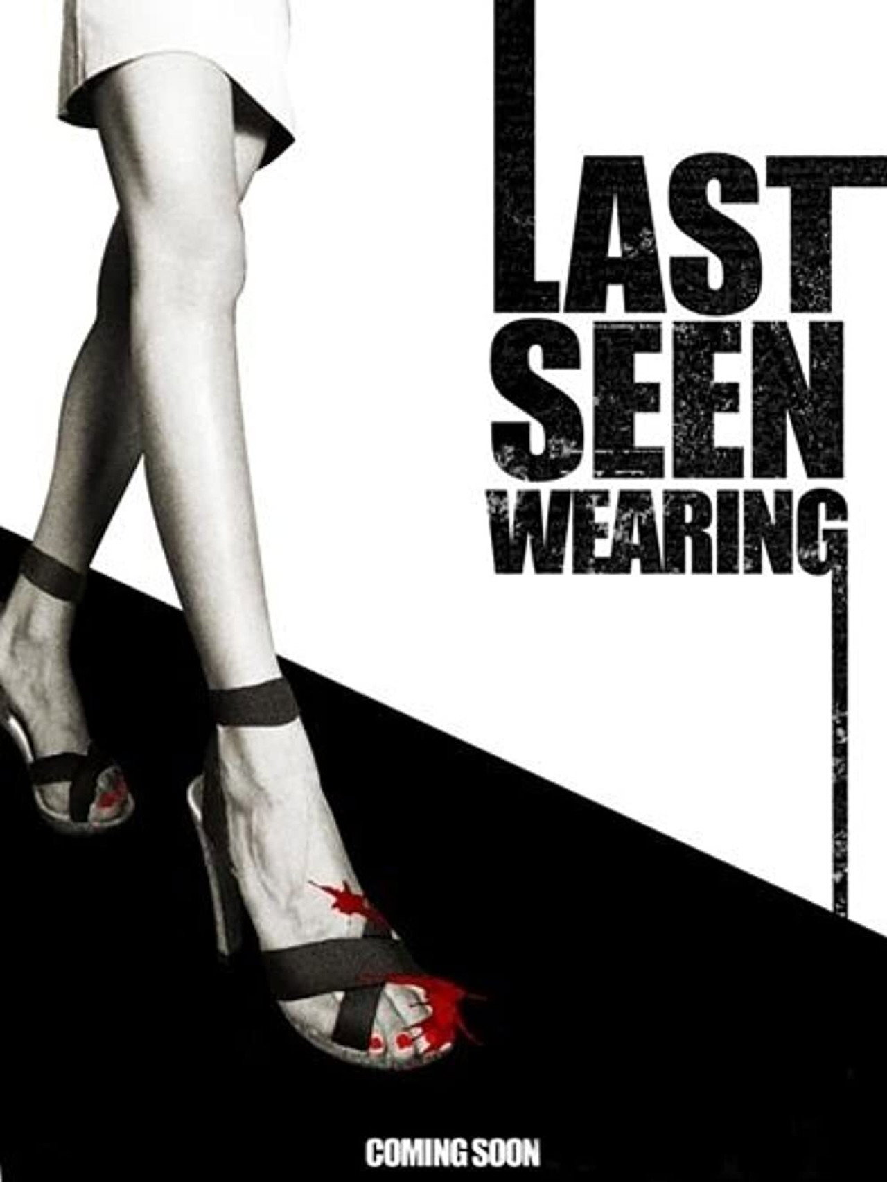 Pôster de Last Seen Wearing