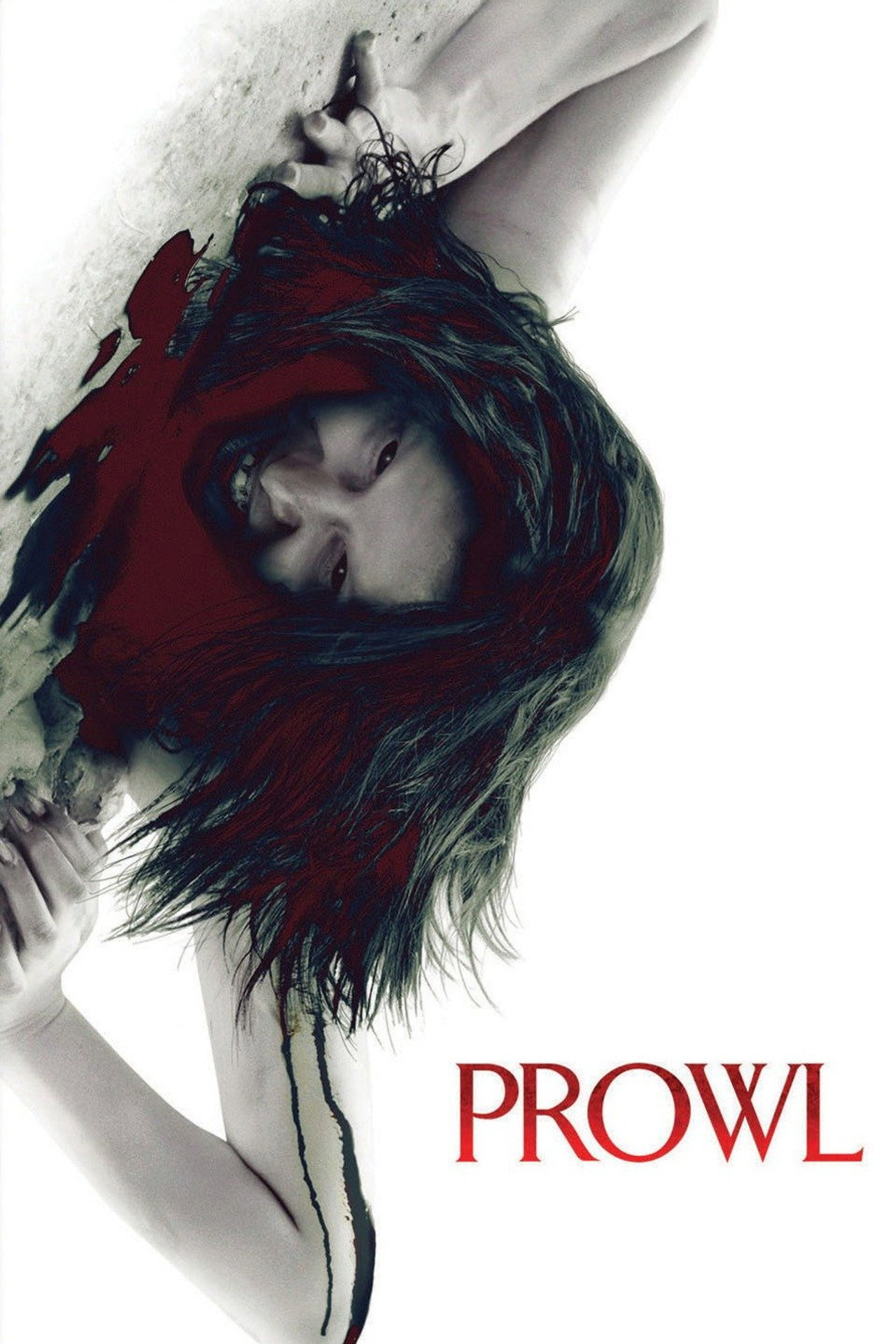 Pôster de Prowl