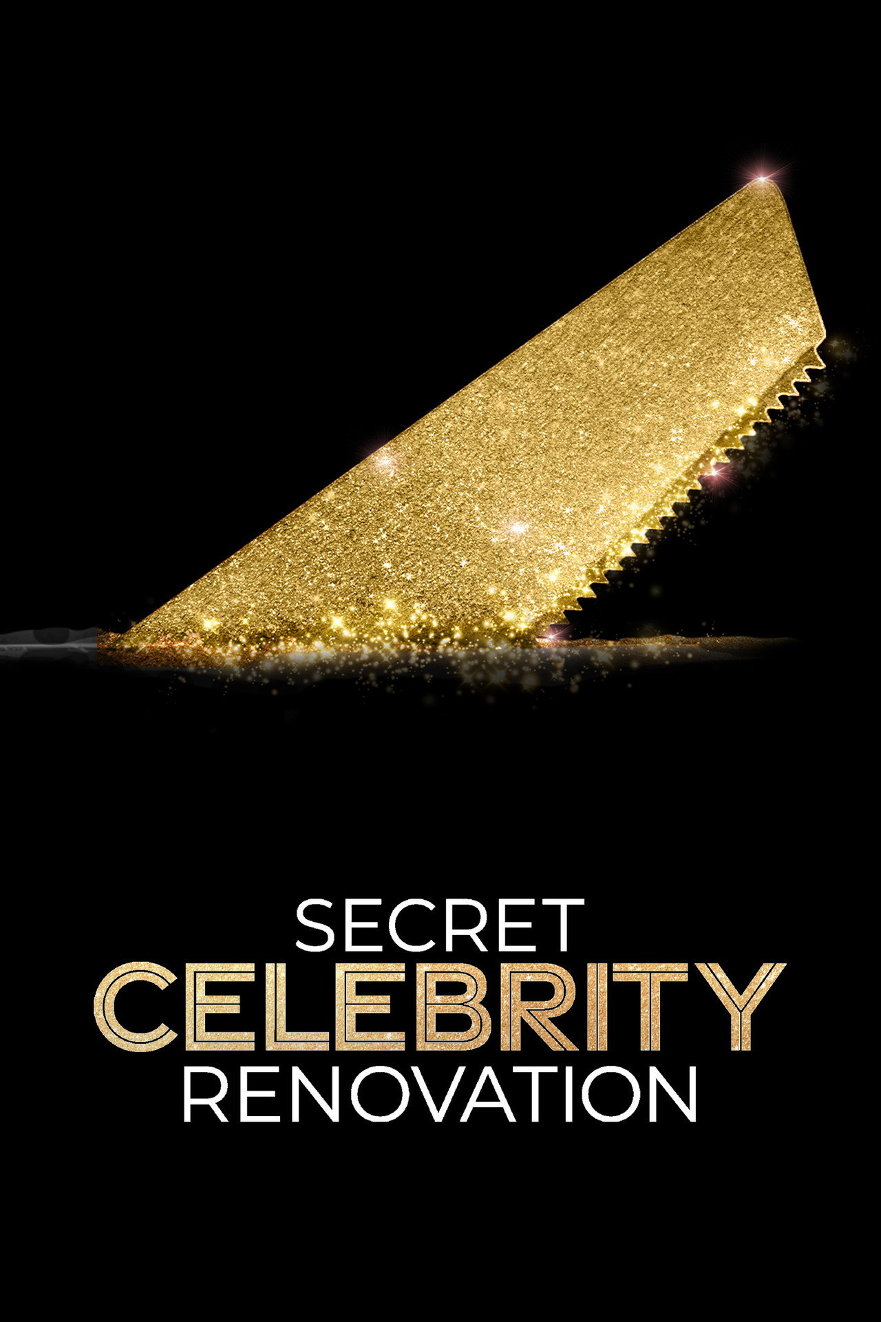 Pôster de Secret Celebrity Renovation