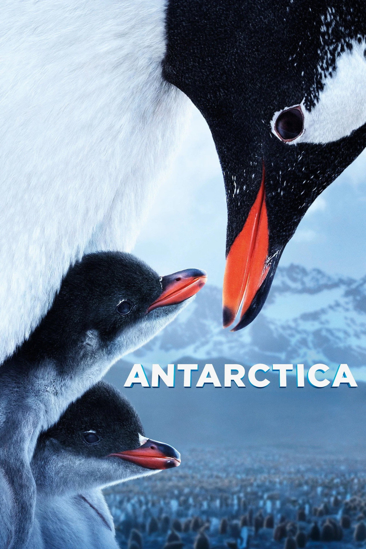 Pôster de Antarctica