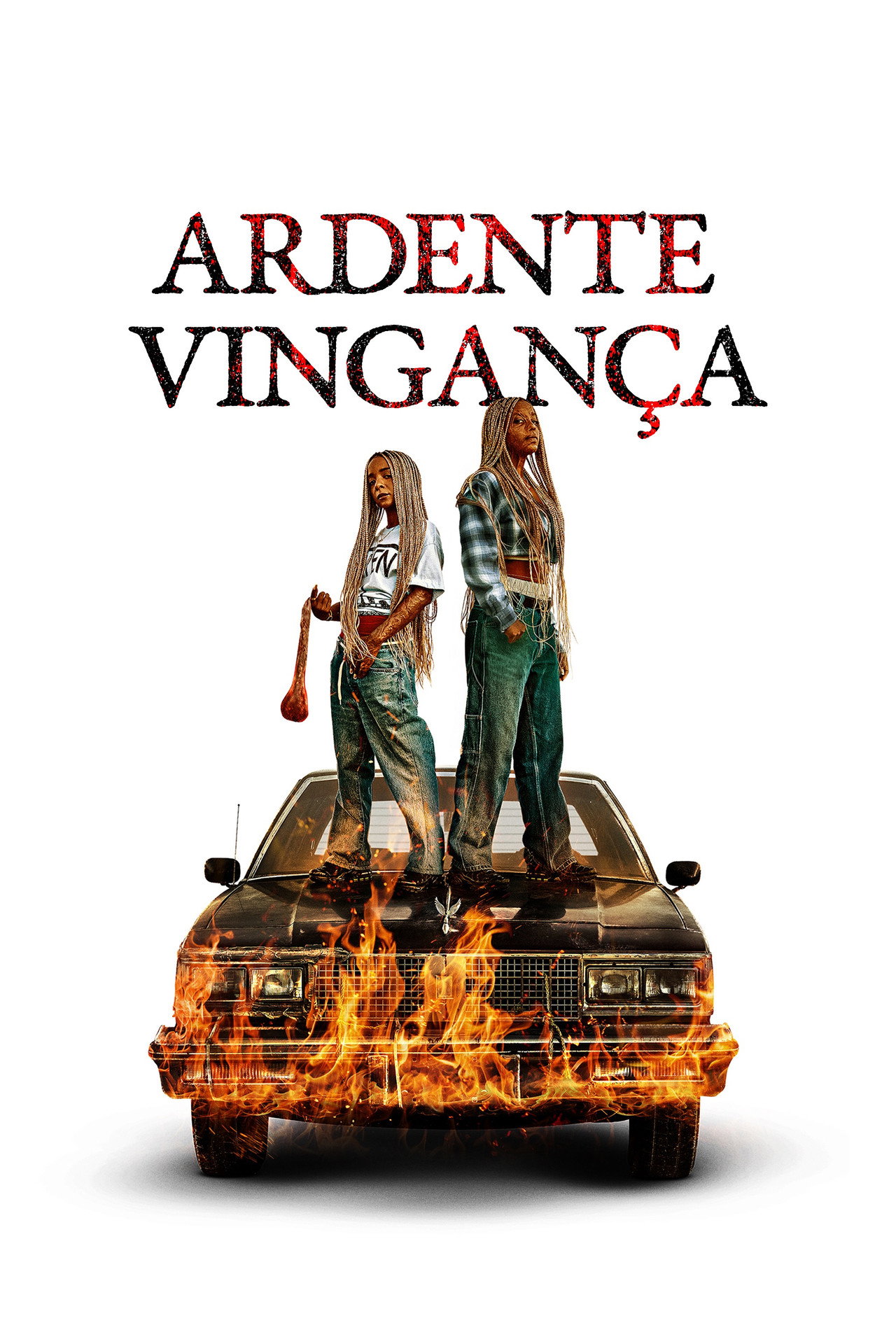 Pôster de Ardente Vingança