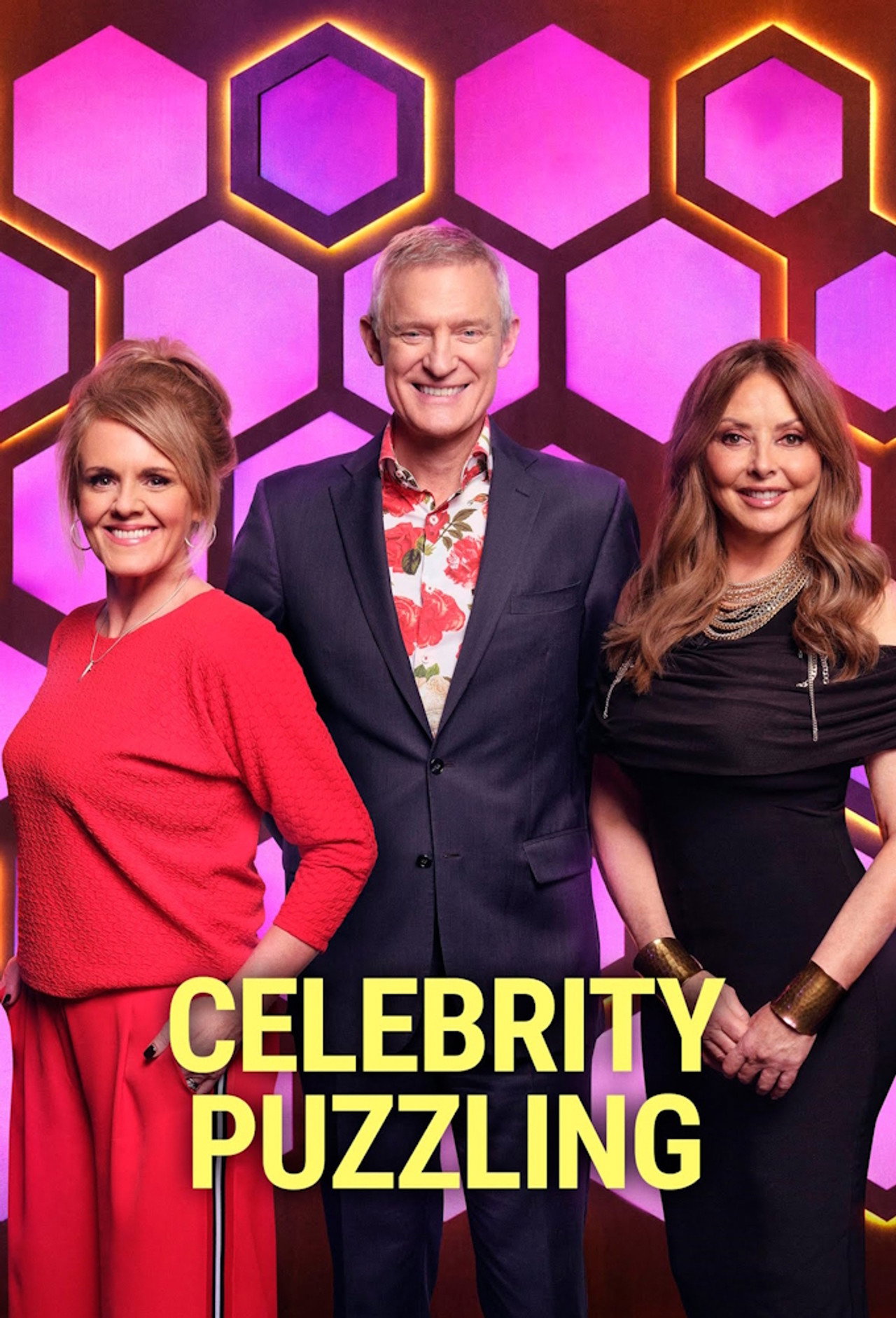 Pôster de Celebrity Puzzling