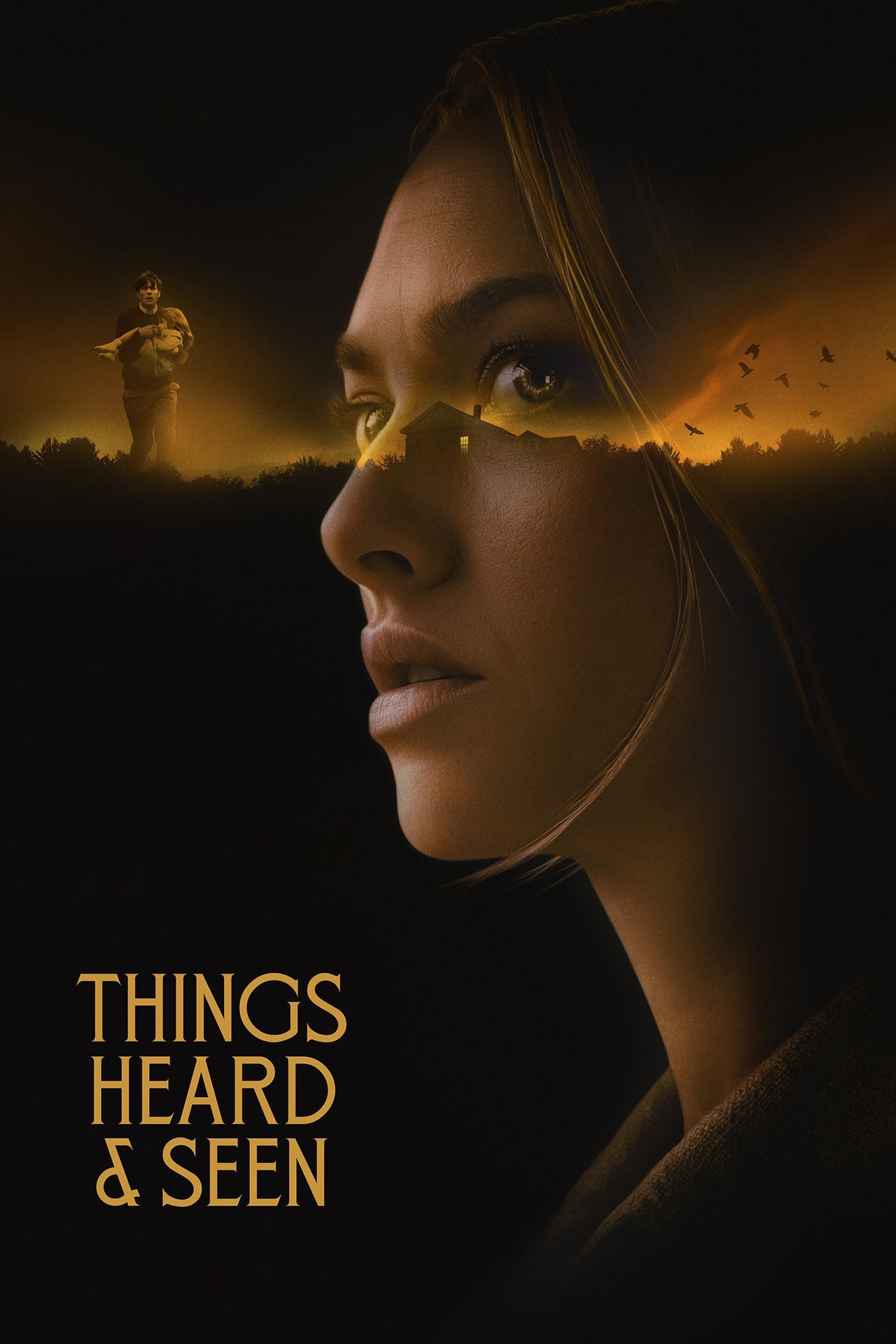 Pôster de Things Heard & Seen