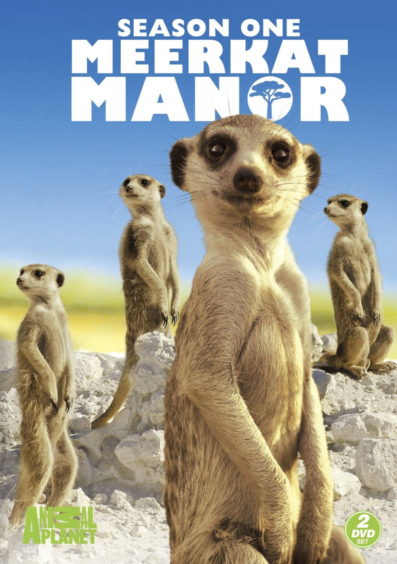Pôster de Meerkat Manor