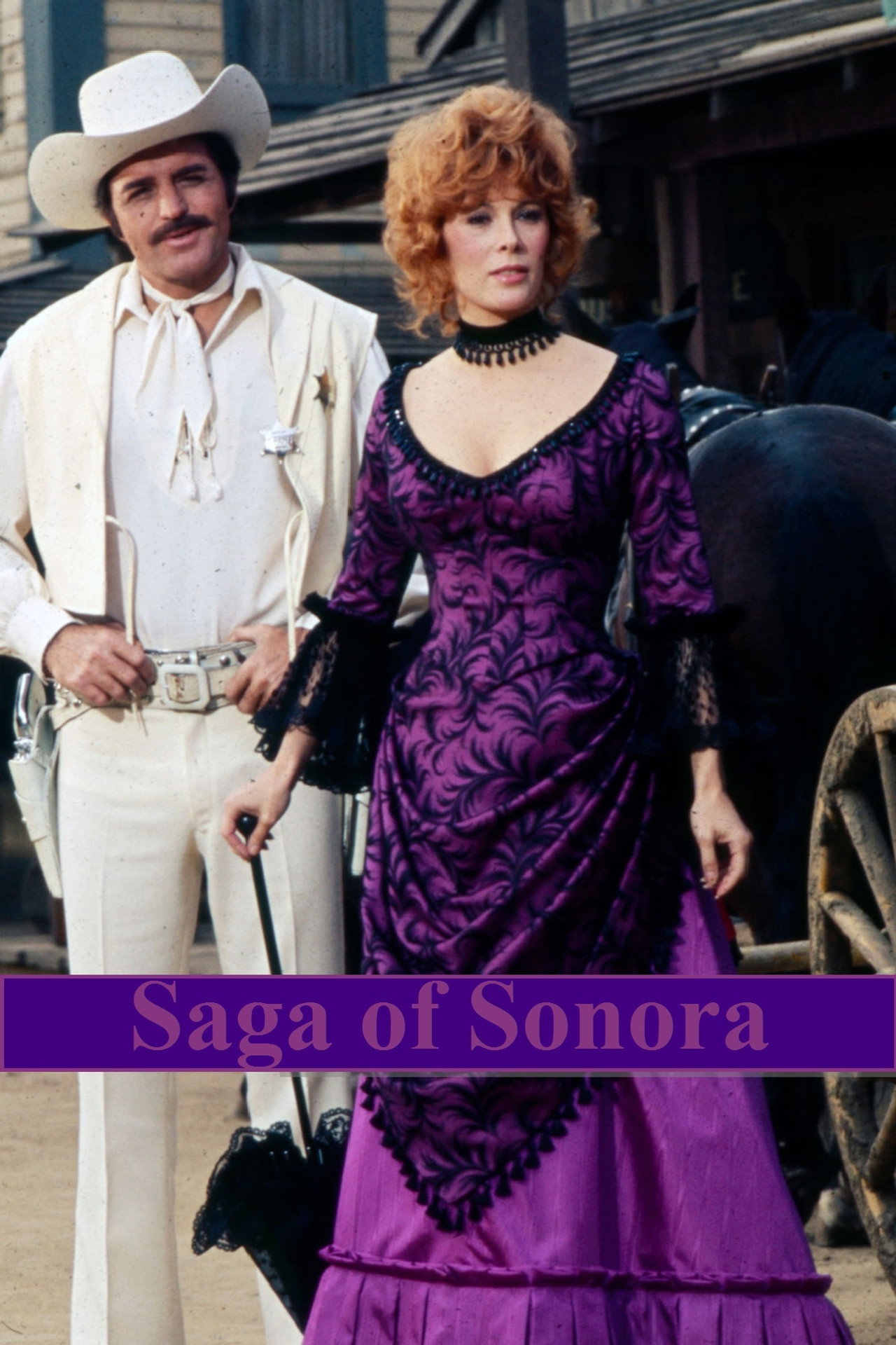 Pôster de Saga of Sonora