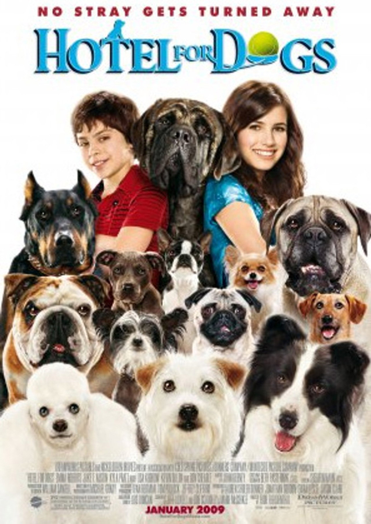 Pôster de A Home for Everyone: The Making of 'Hotel for Dogs'
