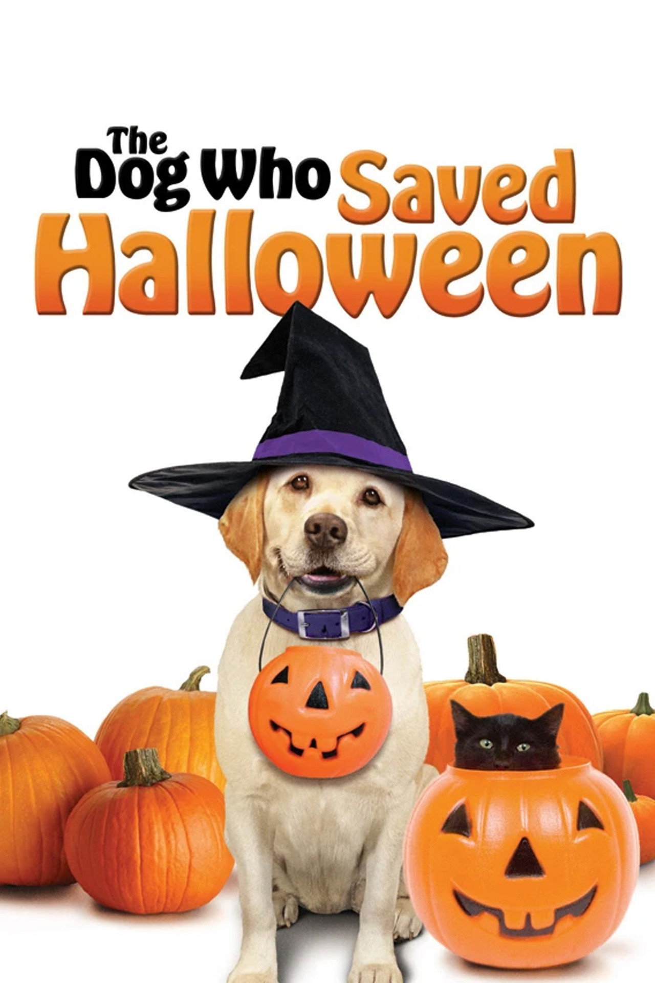 Pôster de The Dog Who Saved Halloween