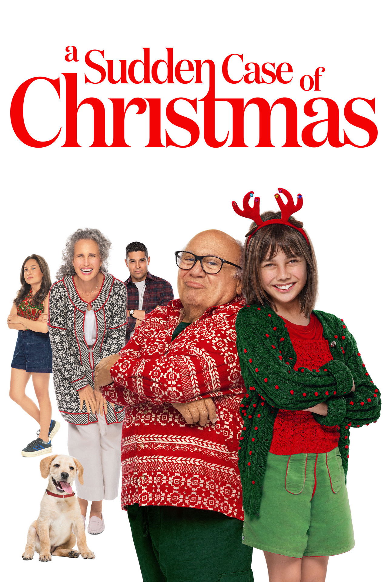 Pôster de A Sudden Case of Christmas
