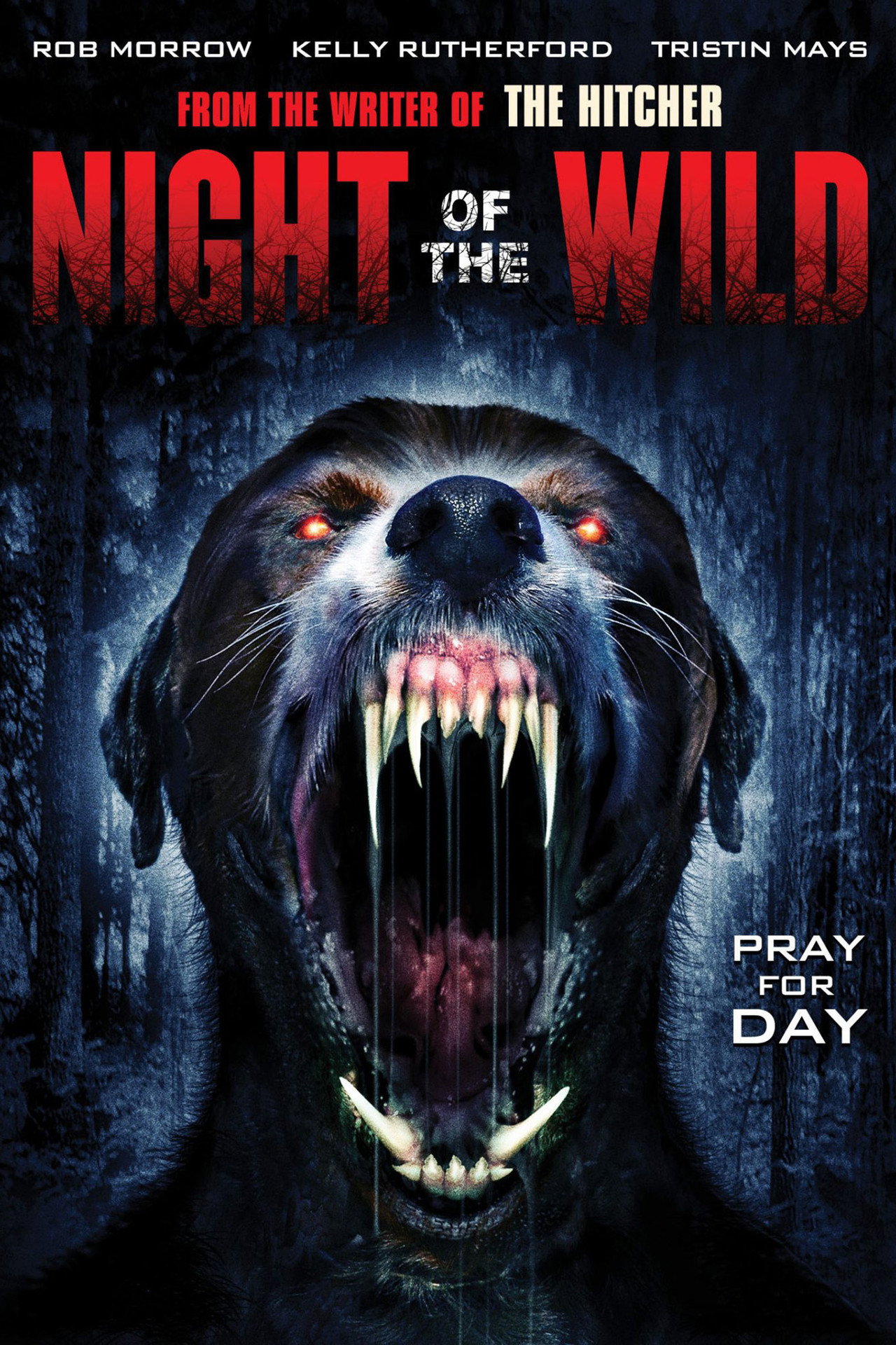 Pôster de Night of the Wild