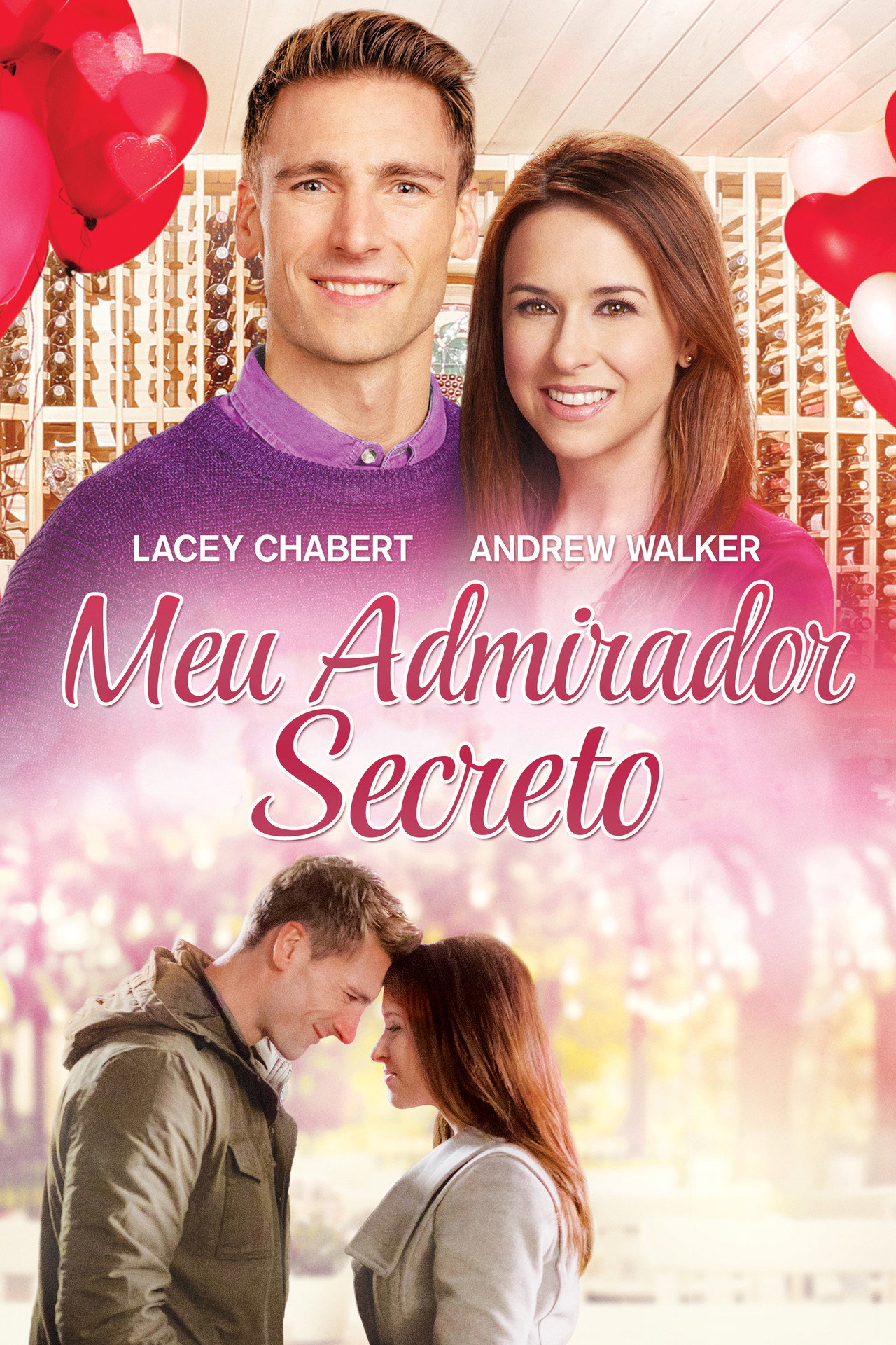 Pôster de Meu Admirador Secreto